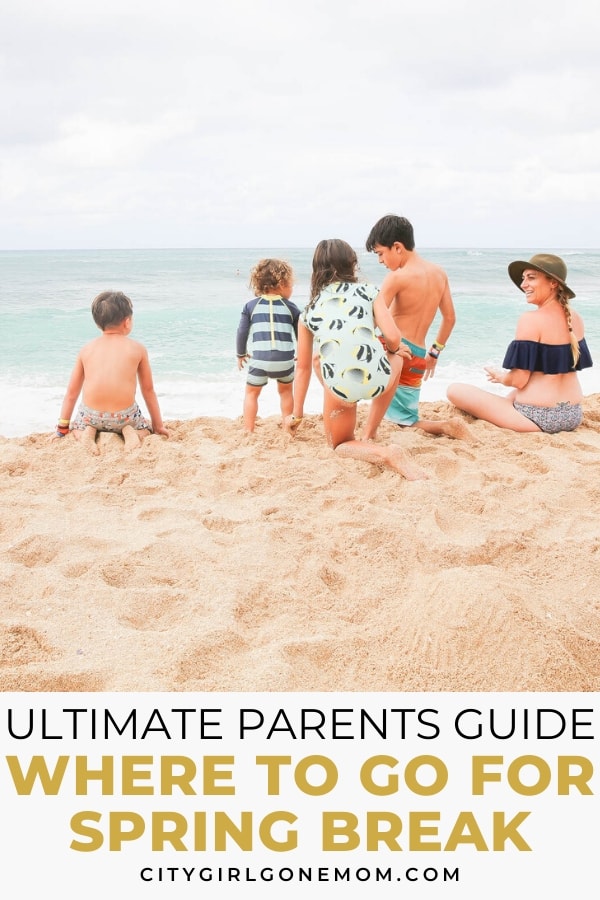 family at the beach