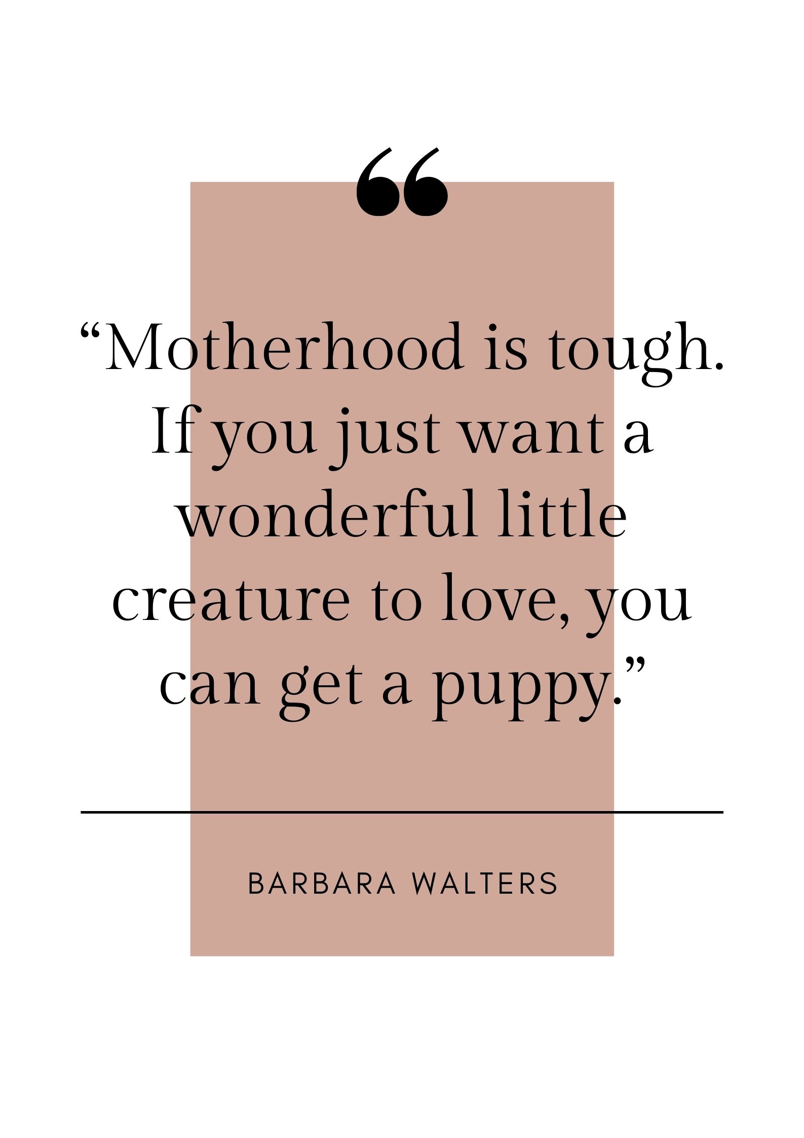 barbara walters quote