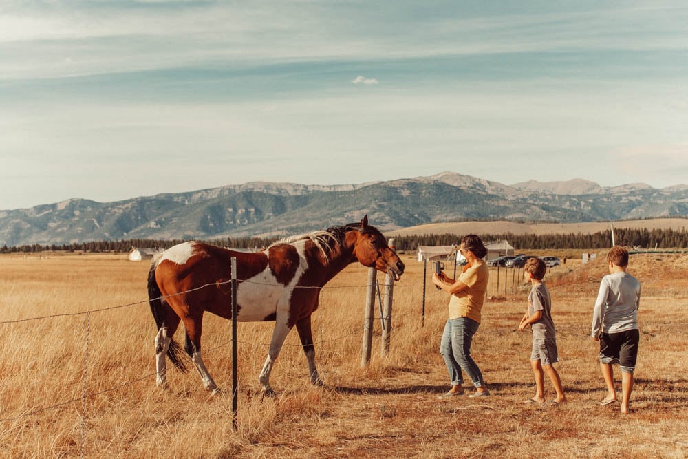 kids and a horse