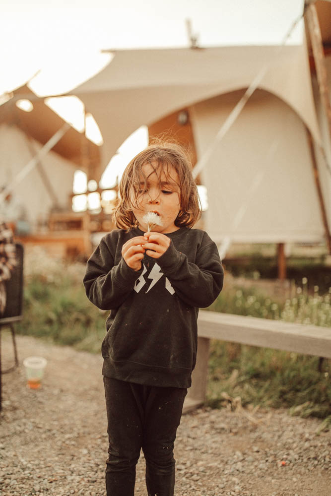 boy with a flower