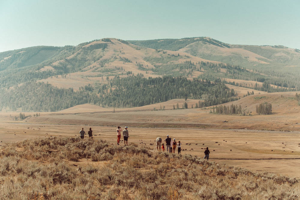 family in yellowstone