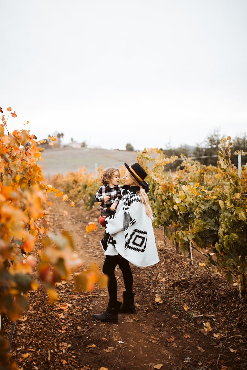 mom and toddler in fall leaves