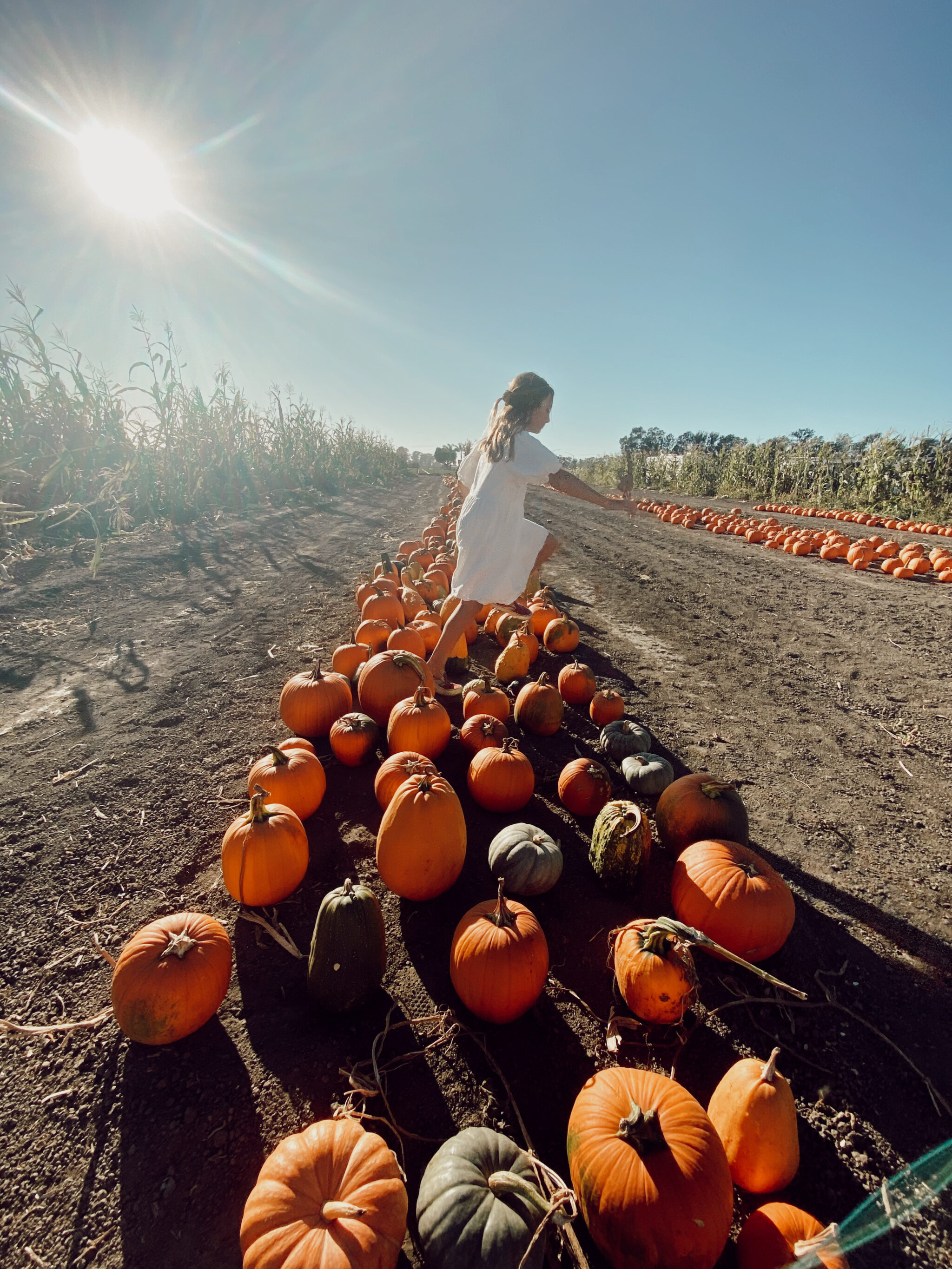 girl in pumpkin patch