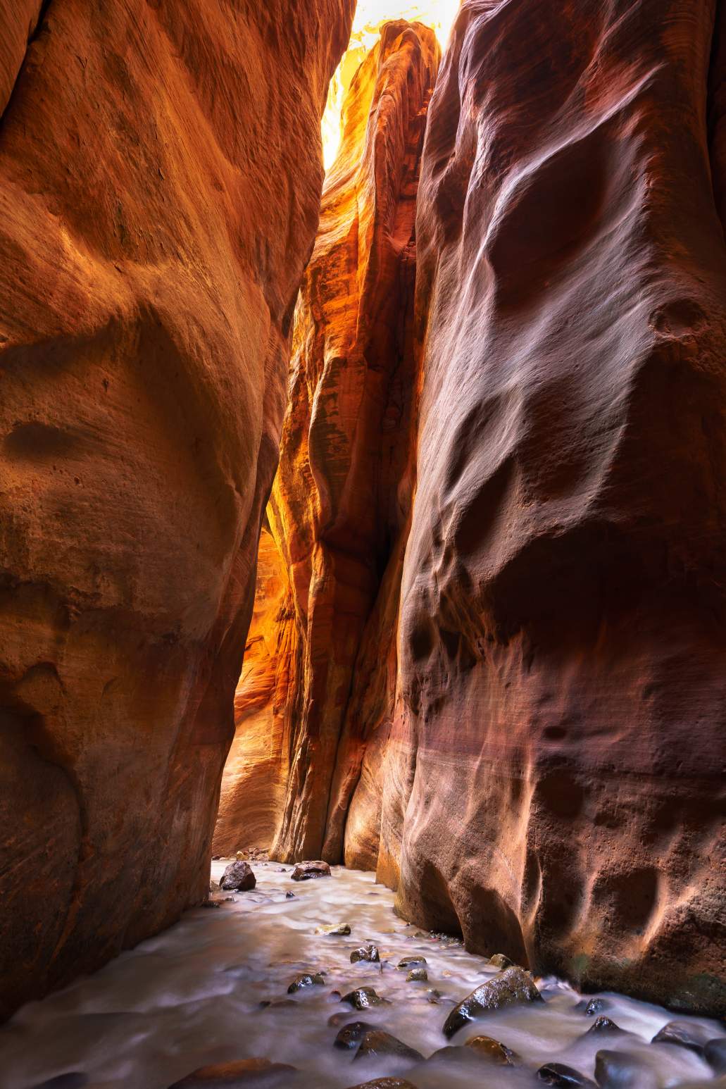 zion national park