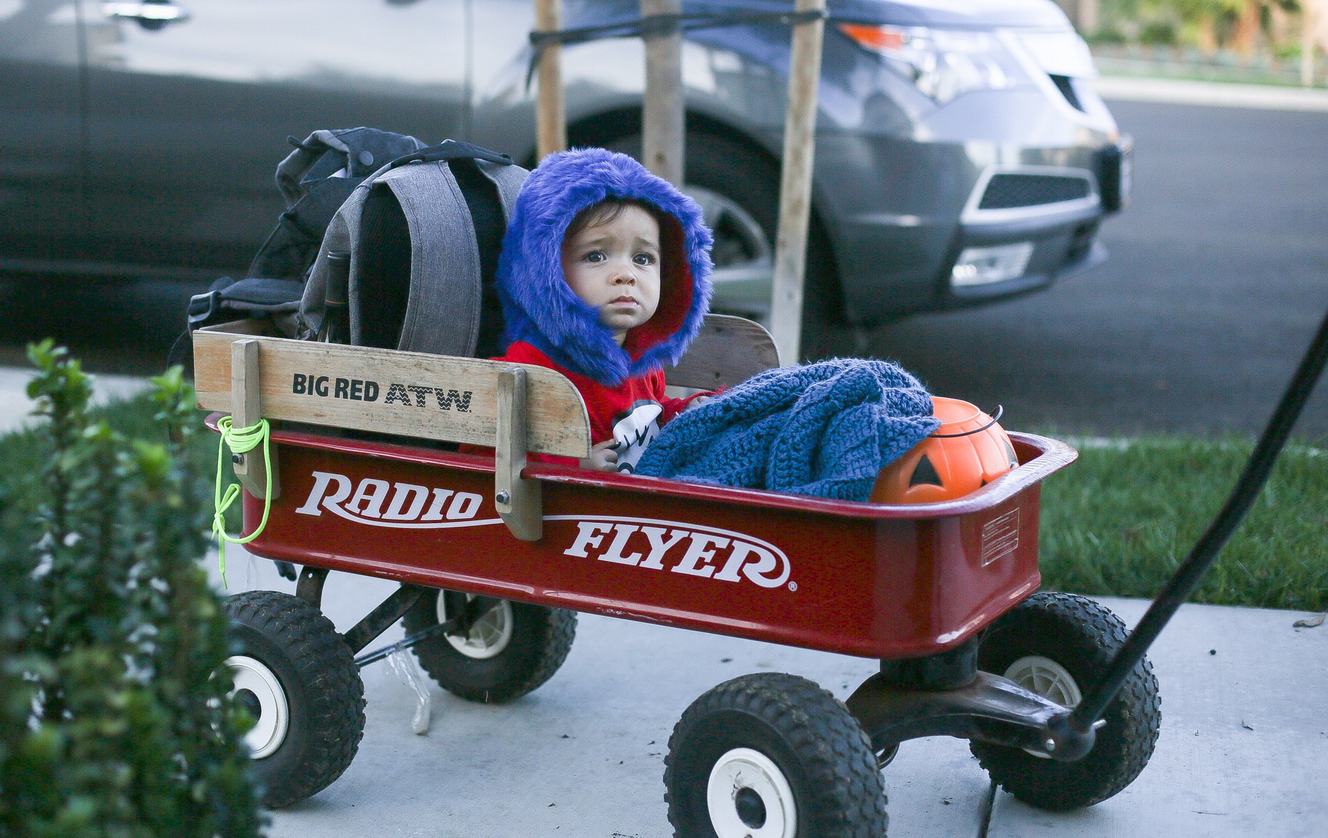 boy in red wagon