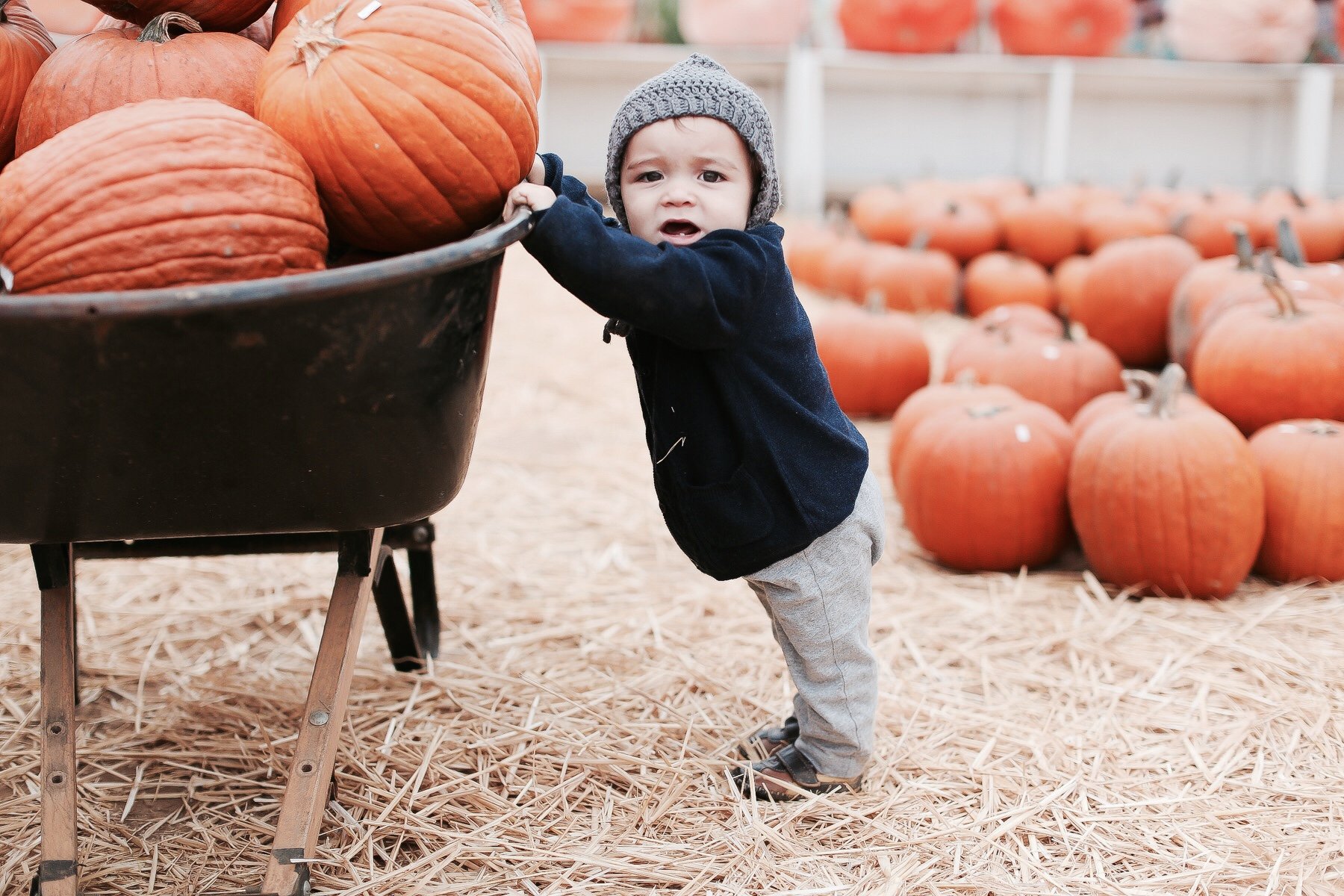 baby in pumpkin patch