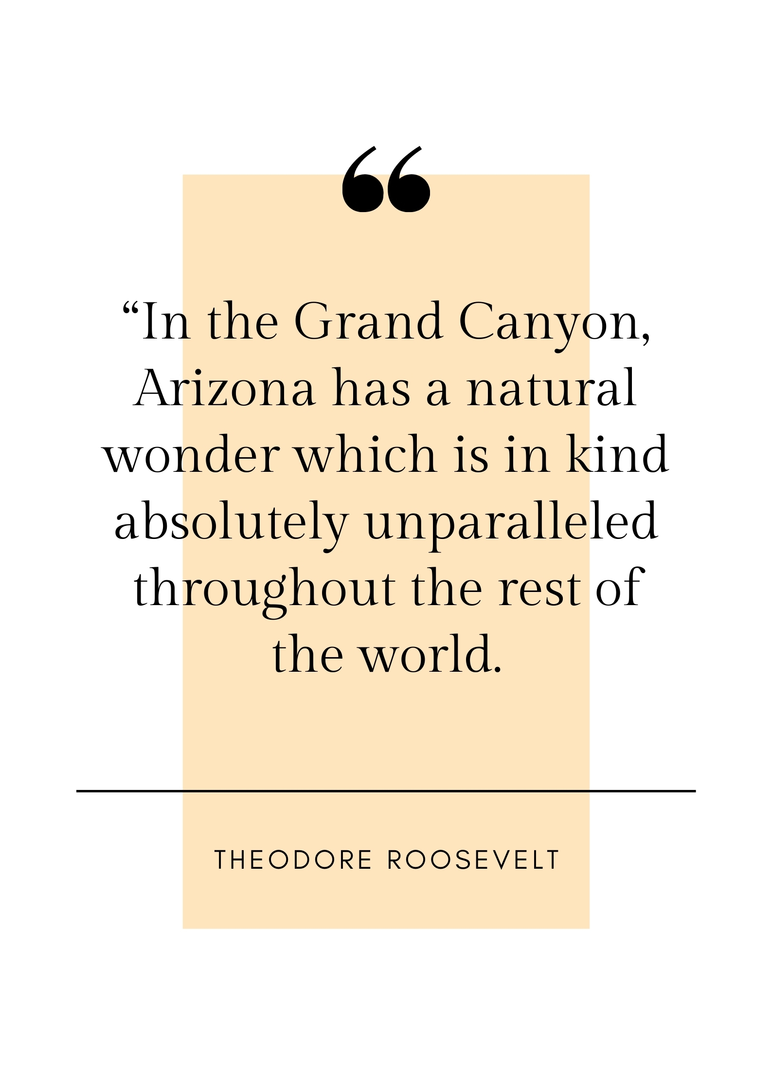 theodore roosevelt quote