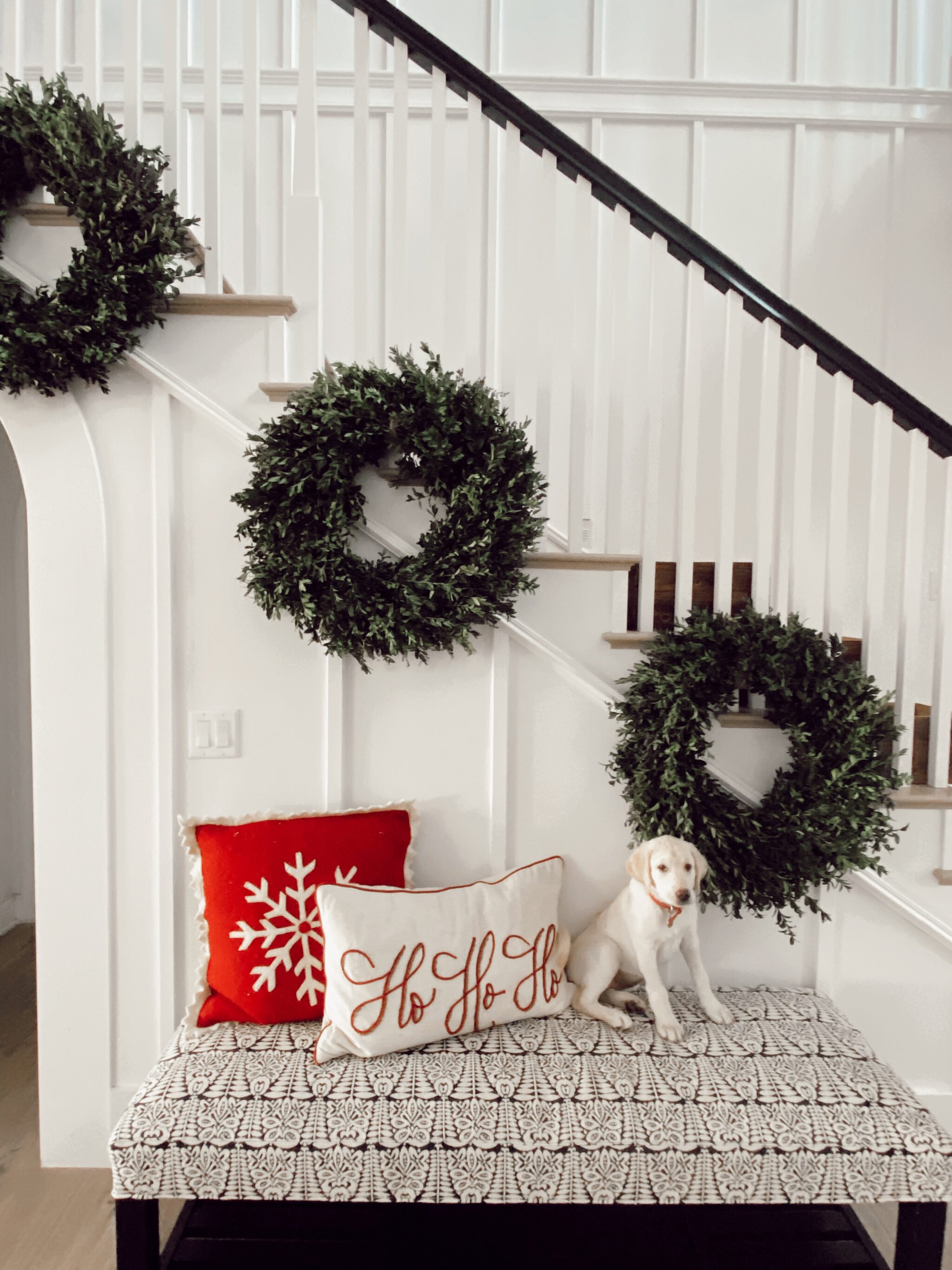 christmas wreaths and a dog