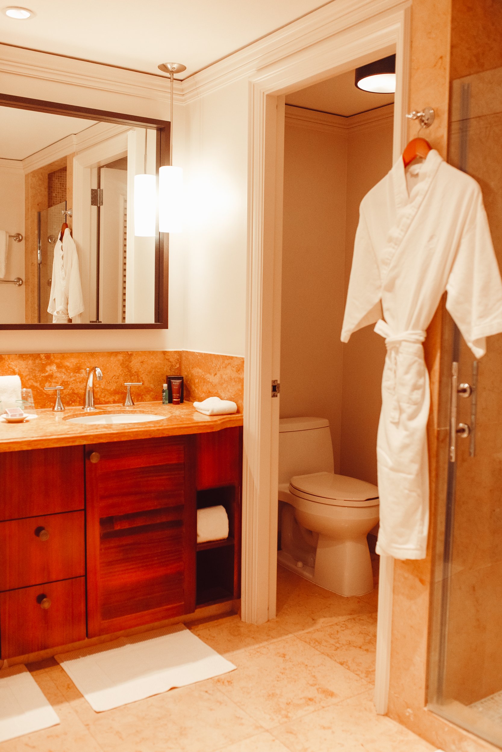 hotel restroom with bath robe