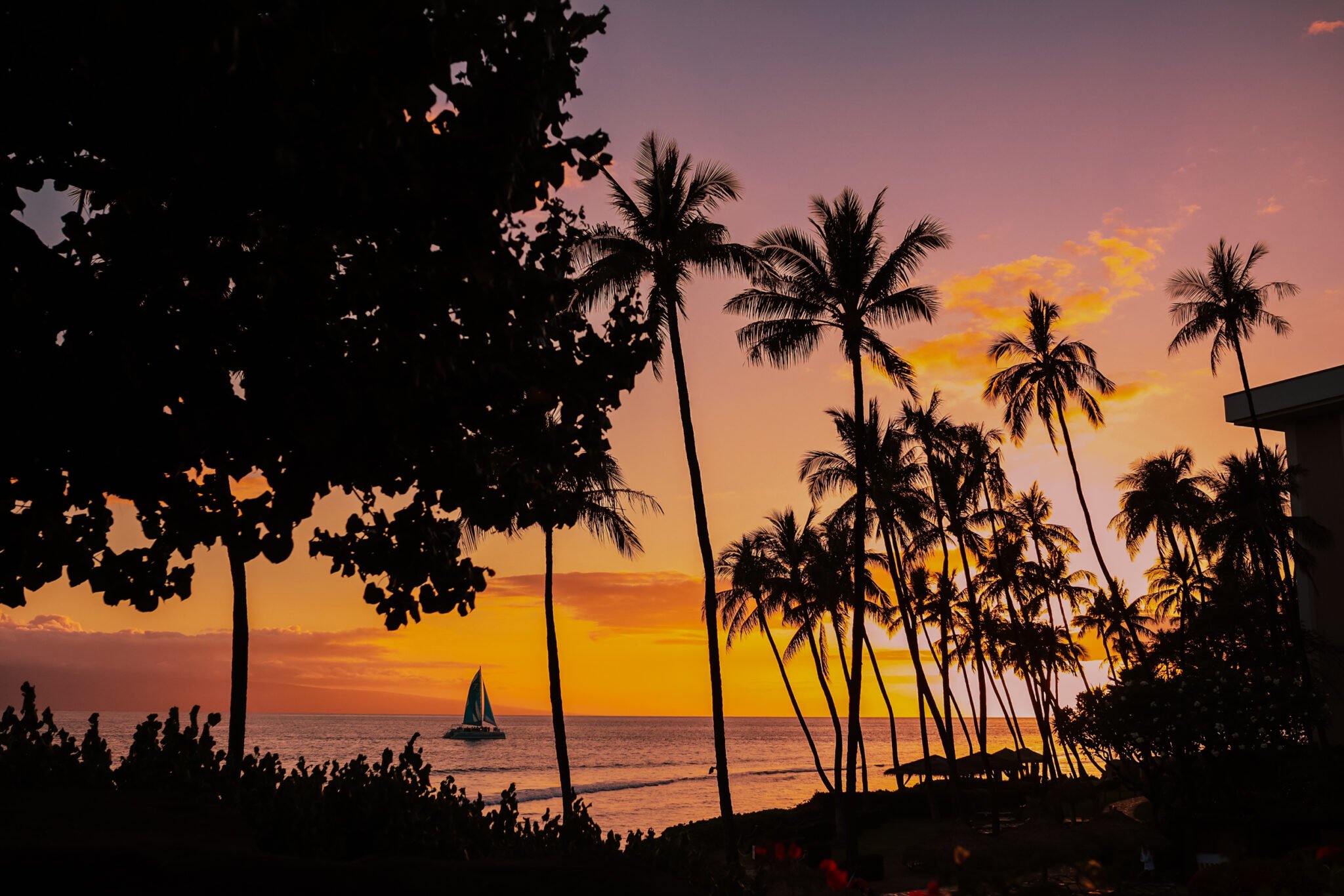 view at hyatt maui