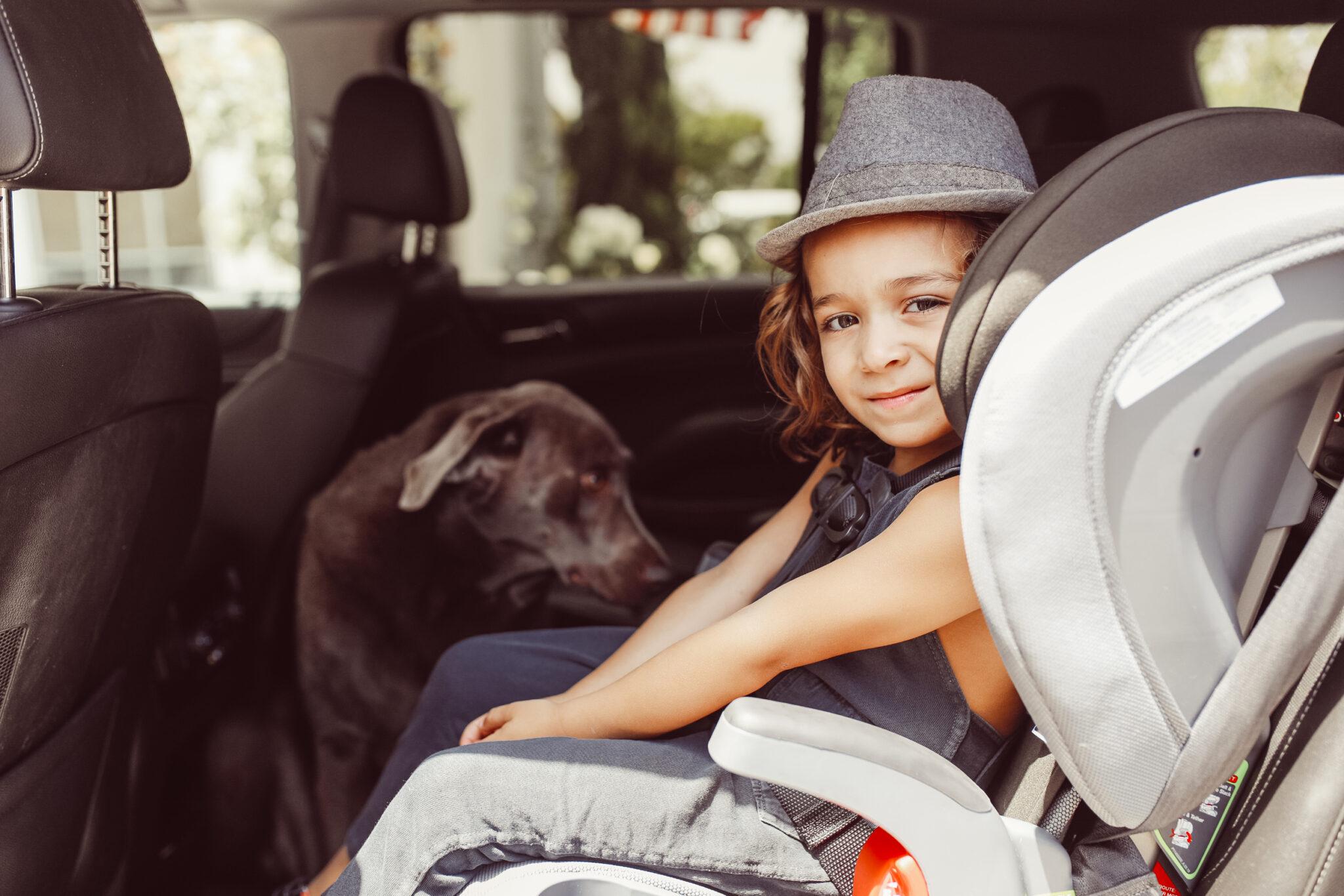 boy and dog in car