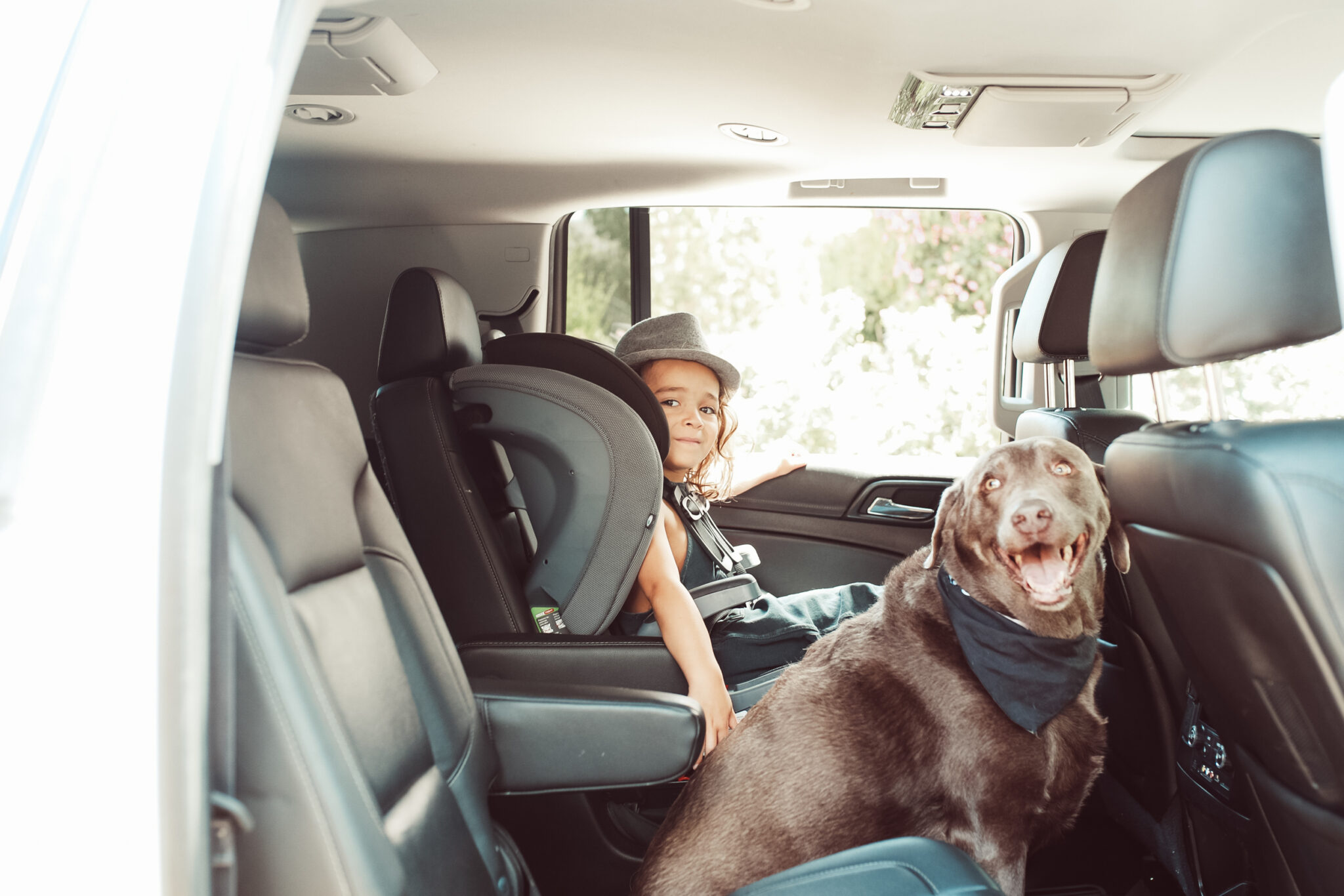boy and dog in car