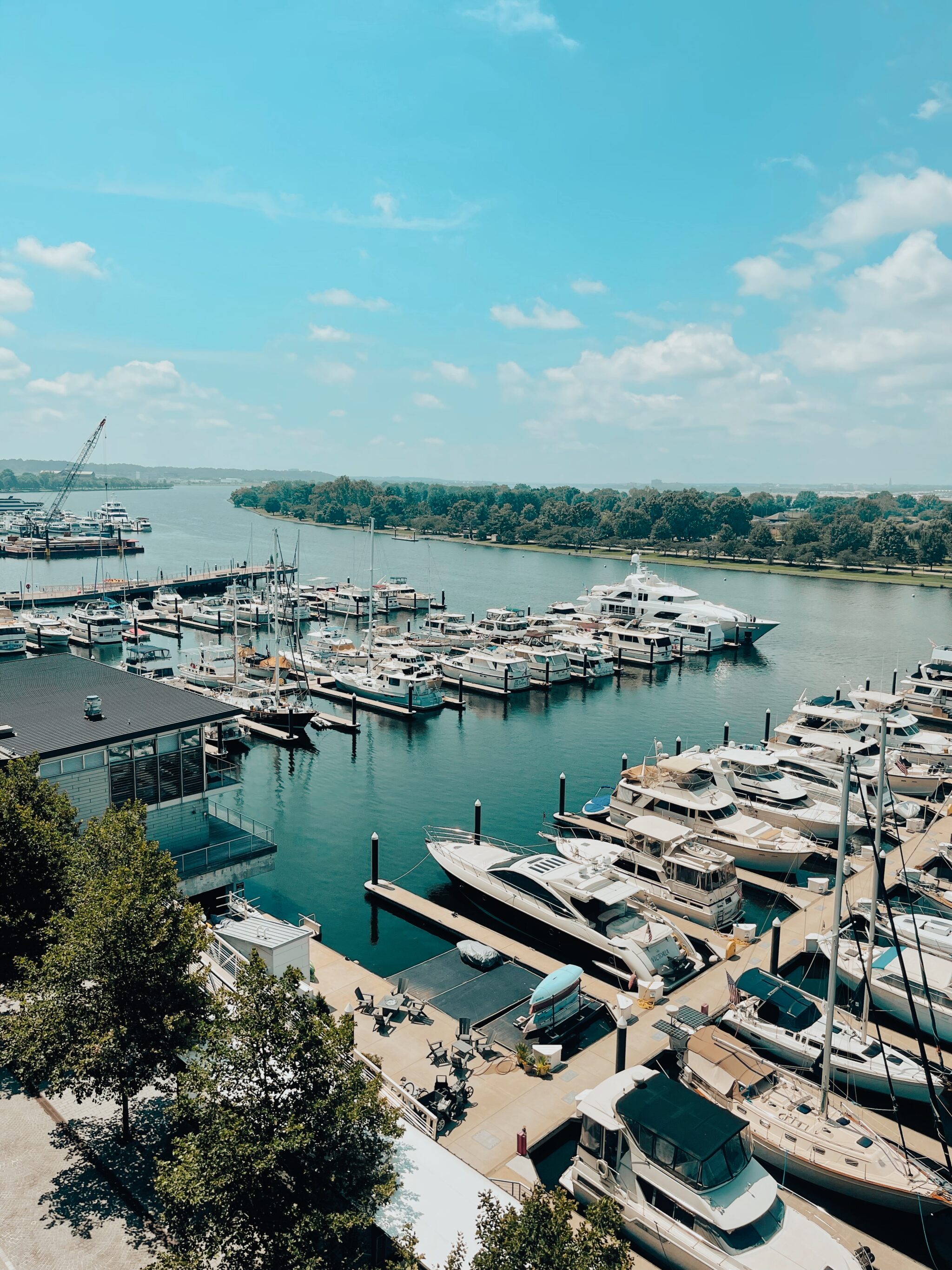 boats in harbor