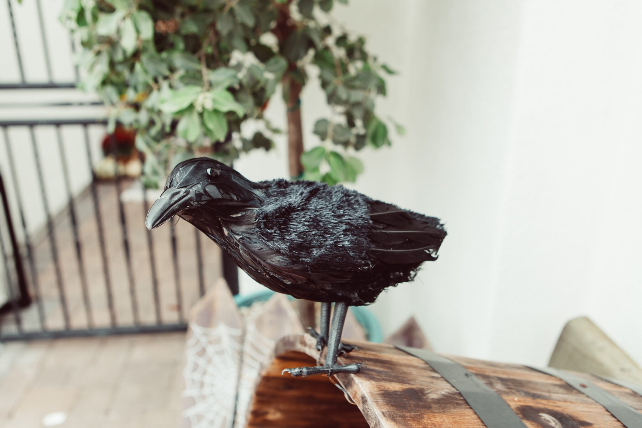 stuffed raven on a barrel