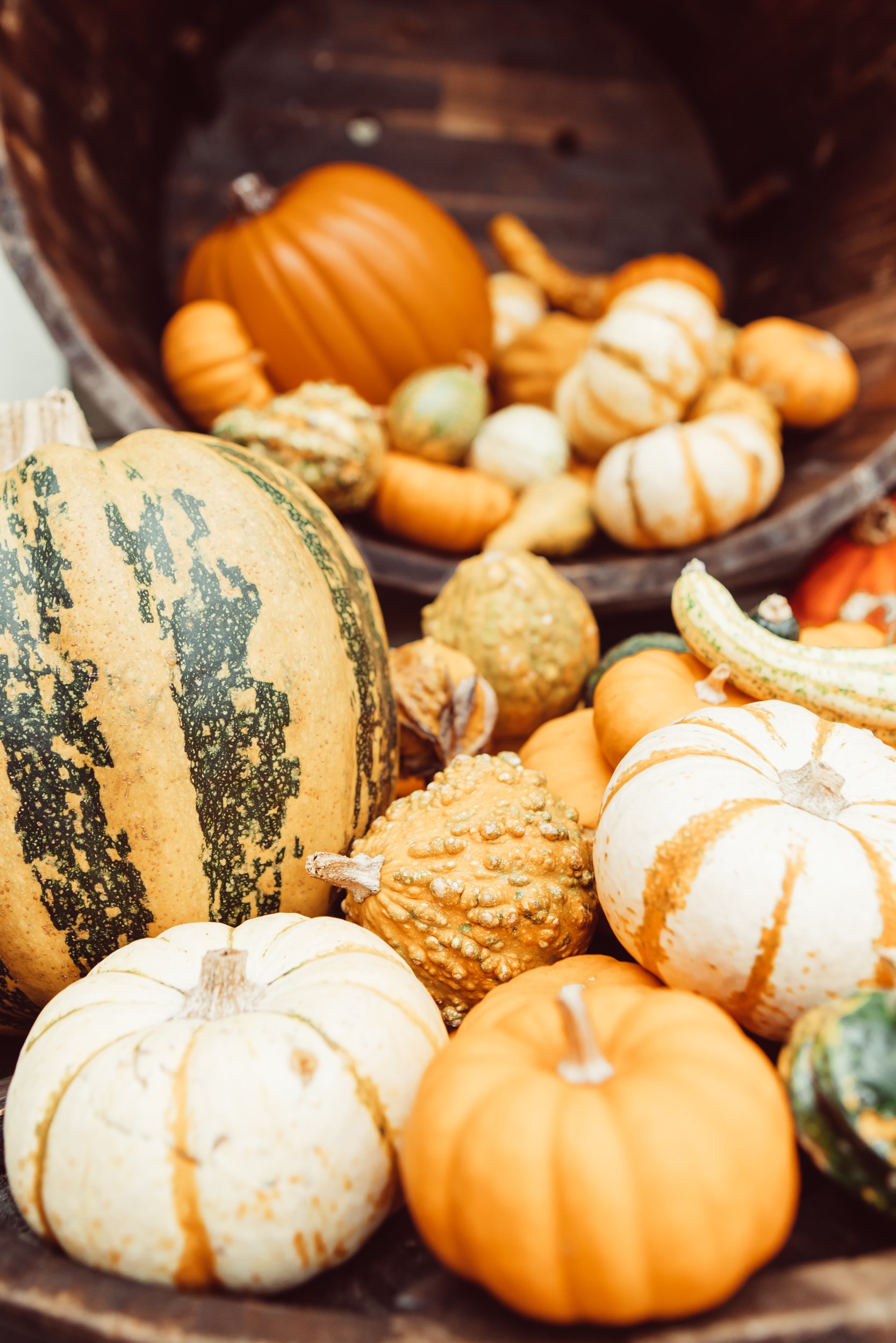 mini pumpkins rolling out of a basket