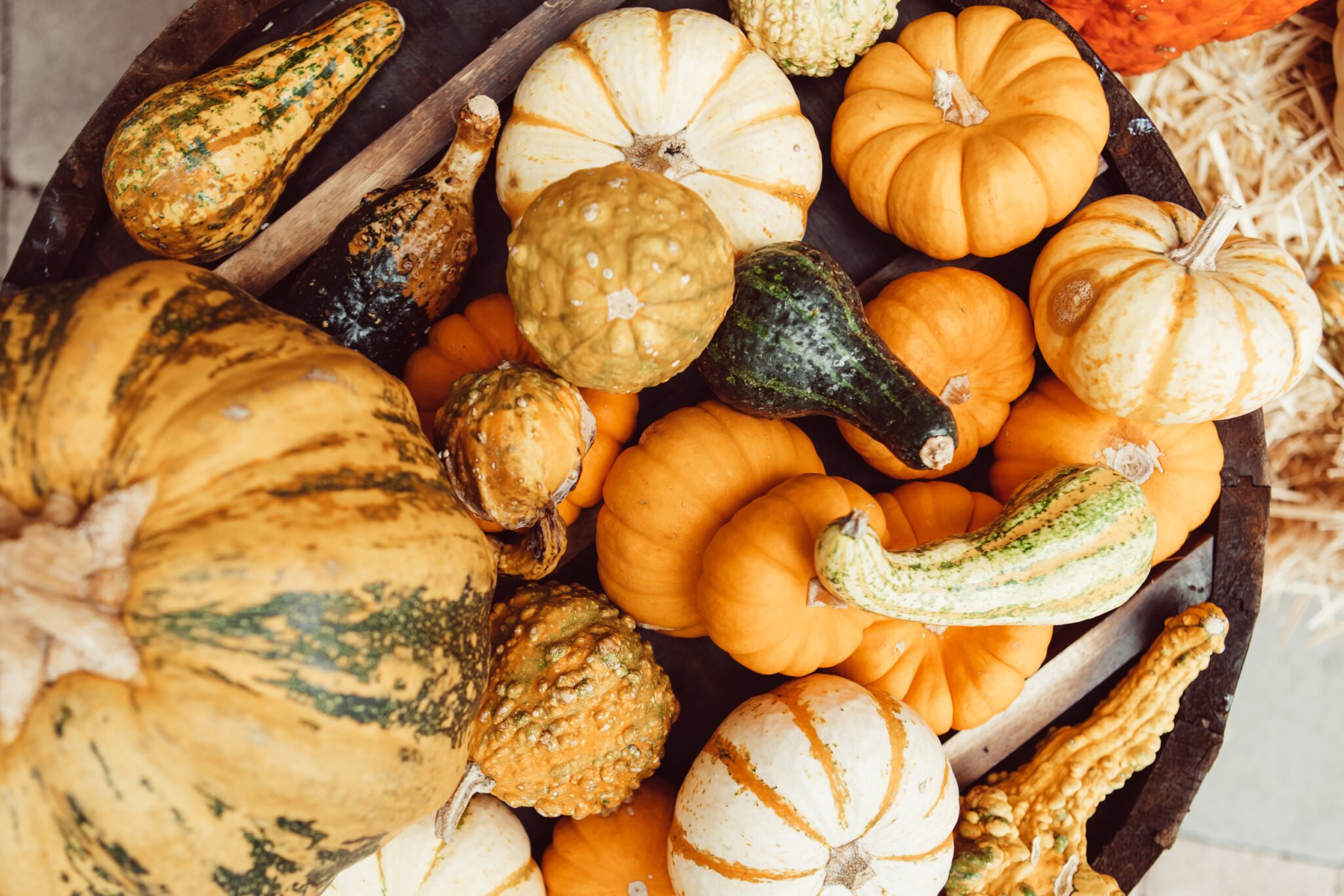 mini pumpkins in a basket