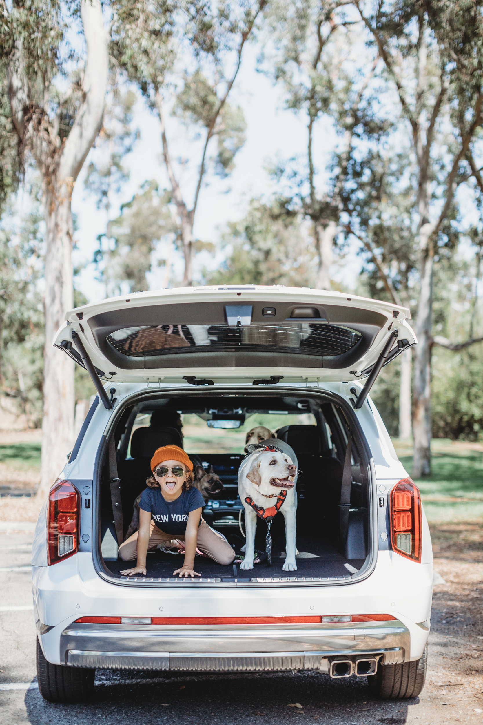 boy in the back of suv with his dog