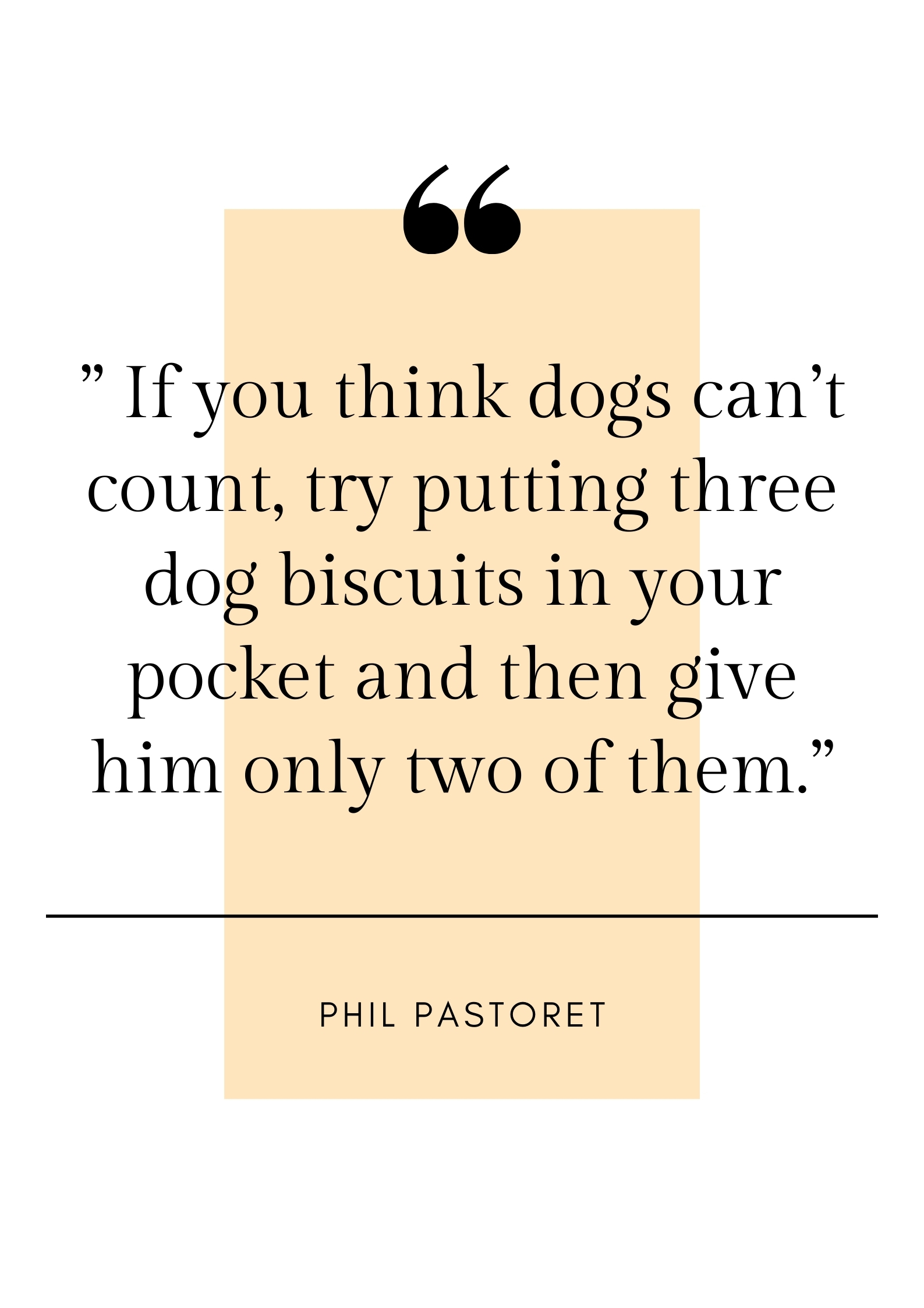 funny dog quote