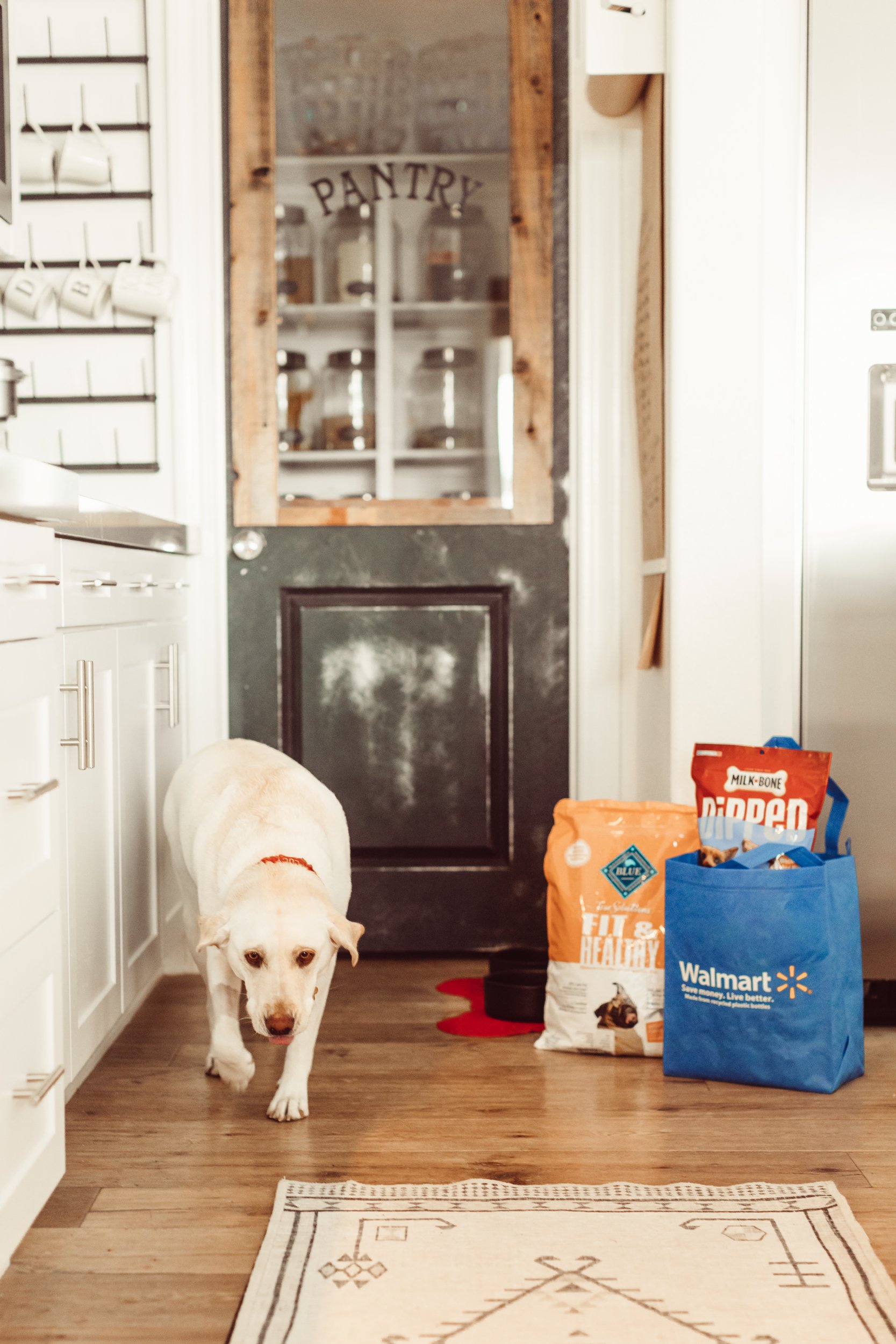 dog walking by bags of dog food