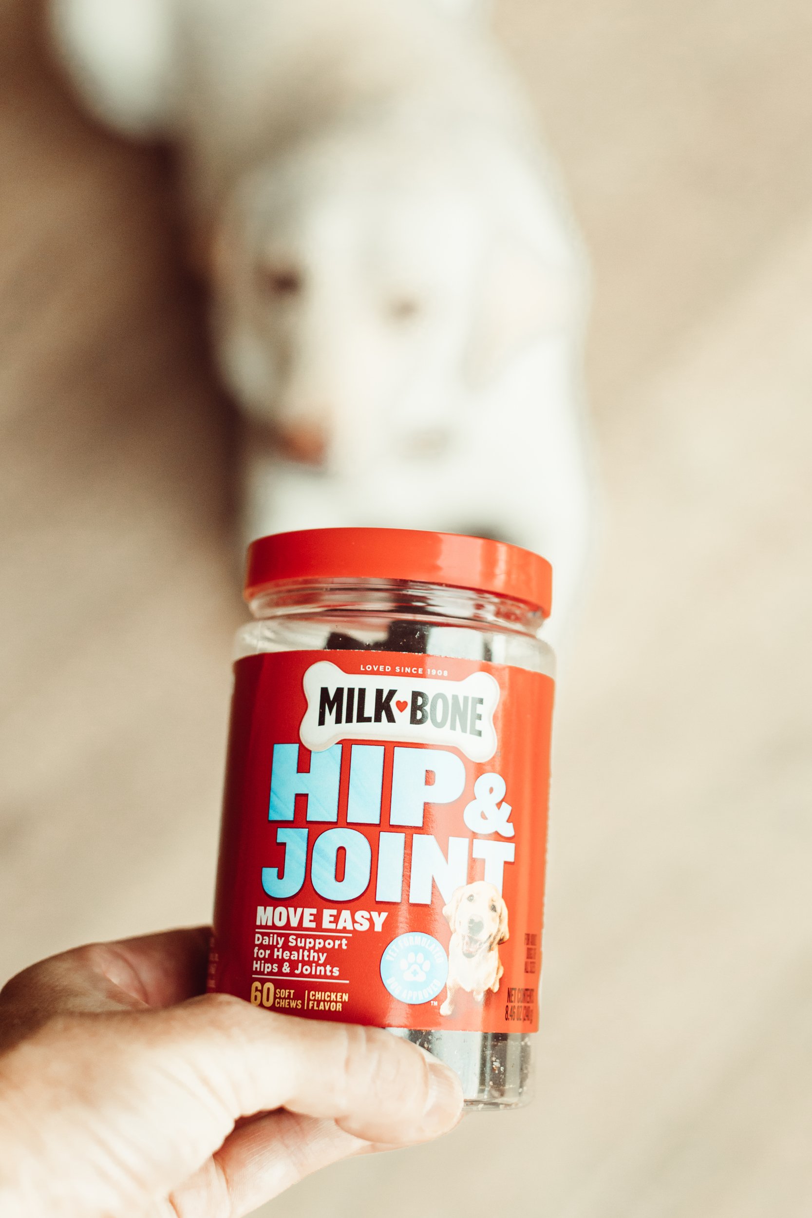 milkbone dog vitamins