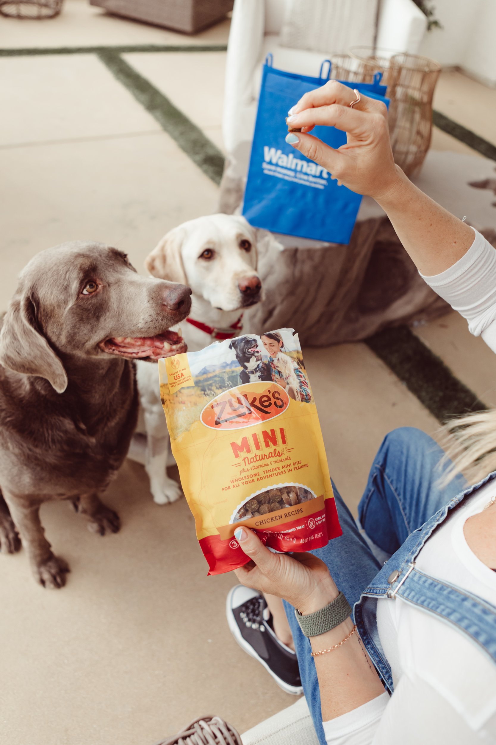 woman giving her labs treats