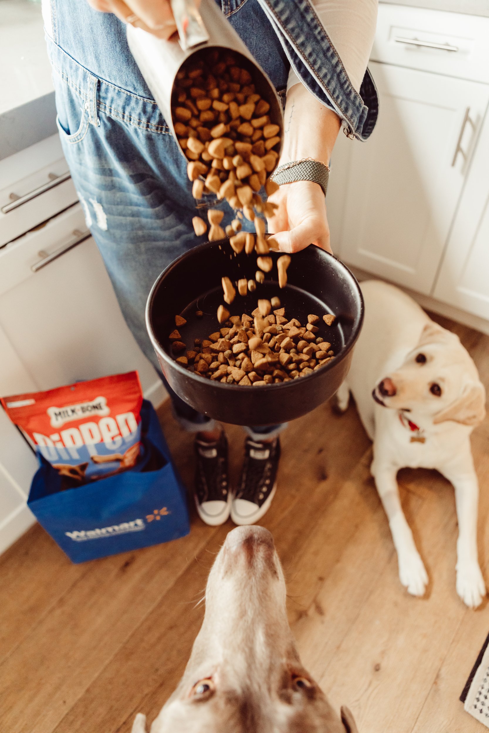 woman feeding her dogs