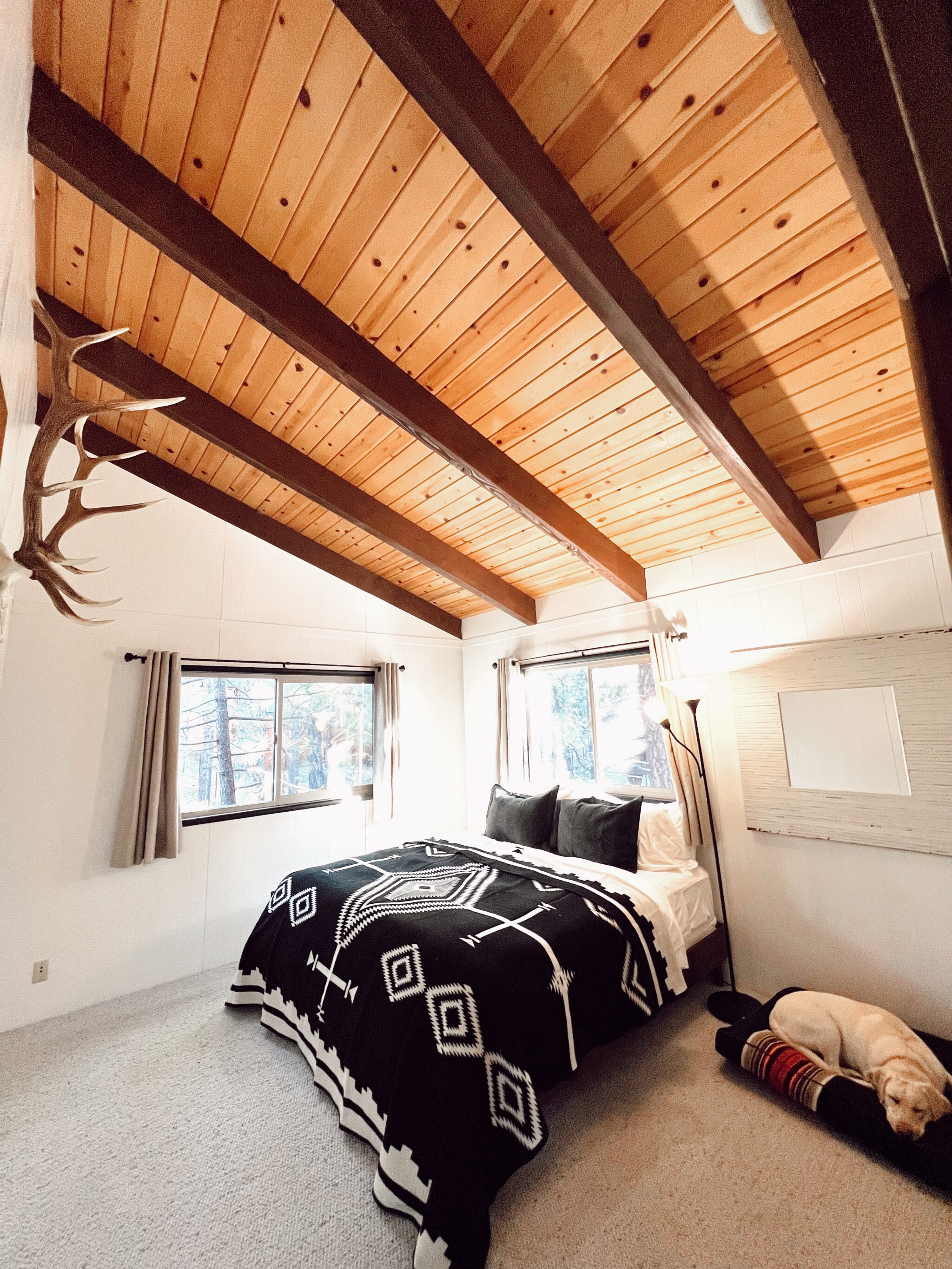 pendleton quilt and dog bed