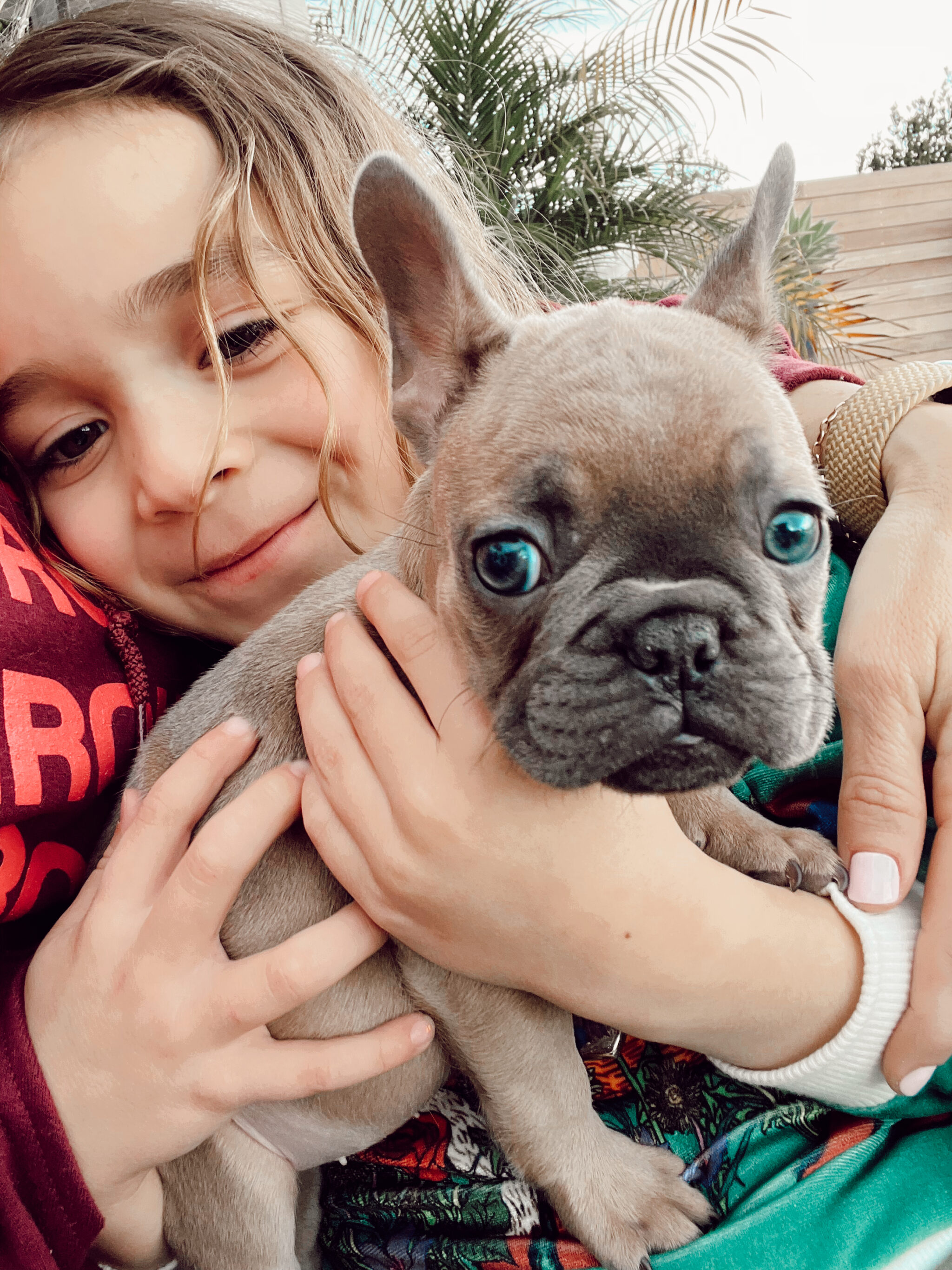 boy hugging his dog