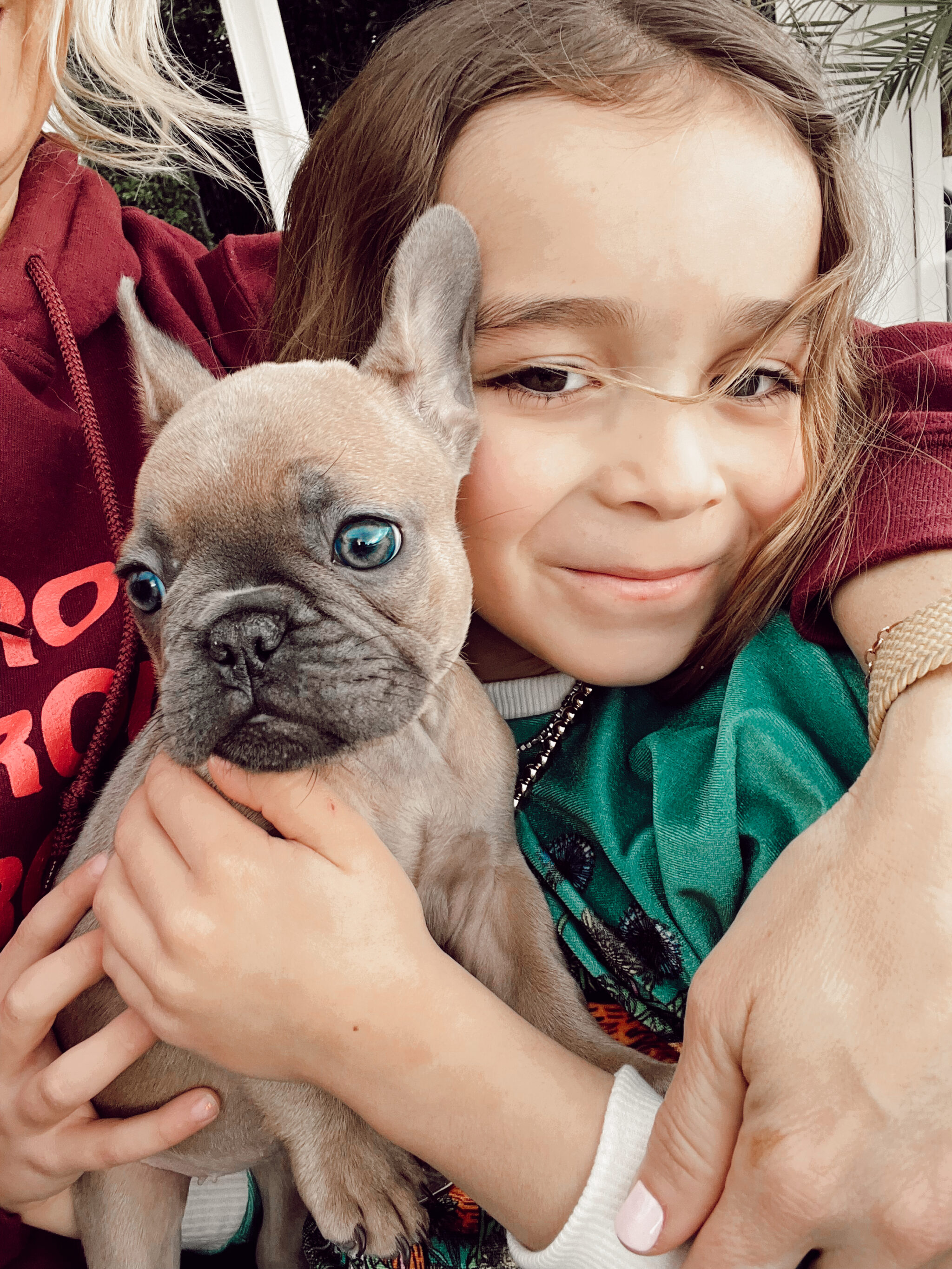 boy holding a puppy