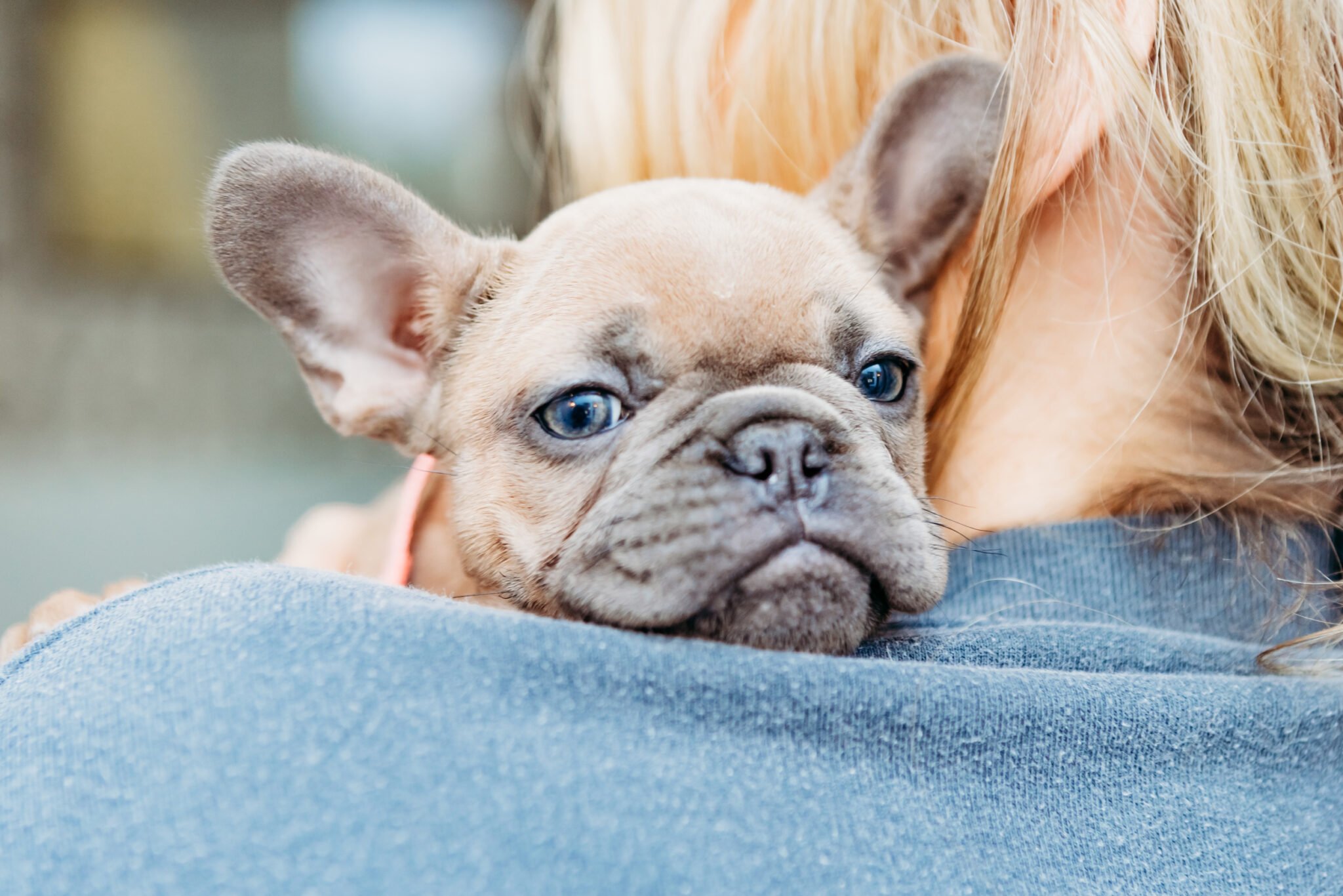 puppy resting her head on woman's shoulder