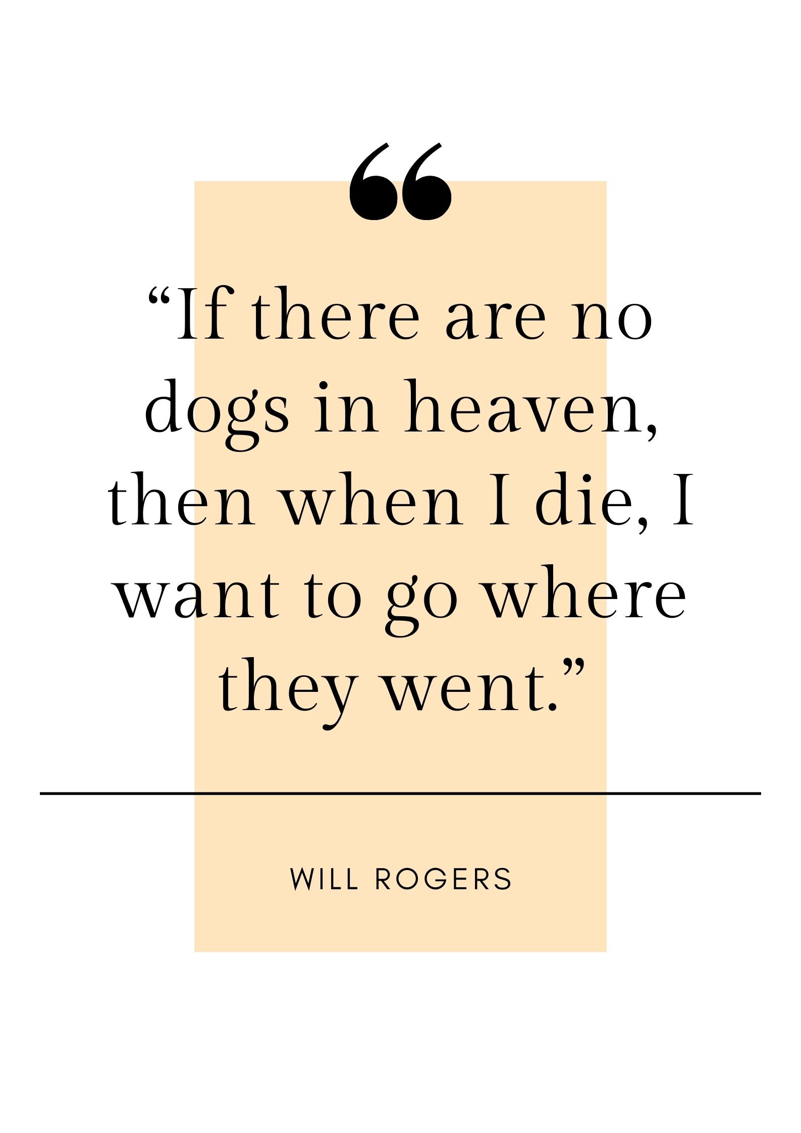 will rogers dog quote