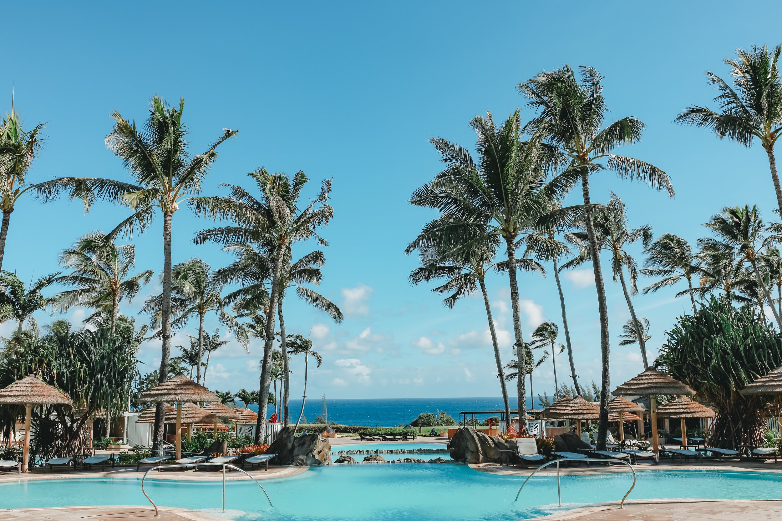 pool and palm trees