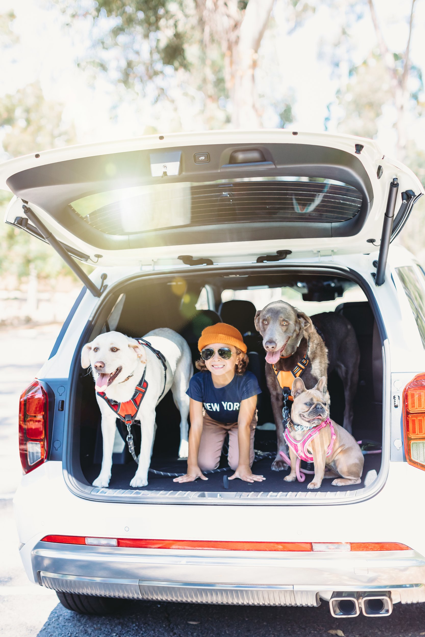 boy sitting in the back of an suv with his dogs