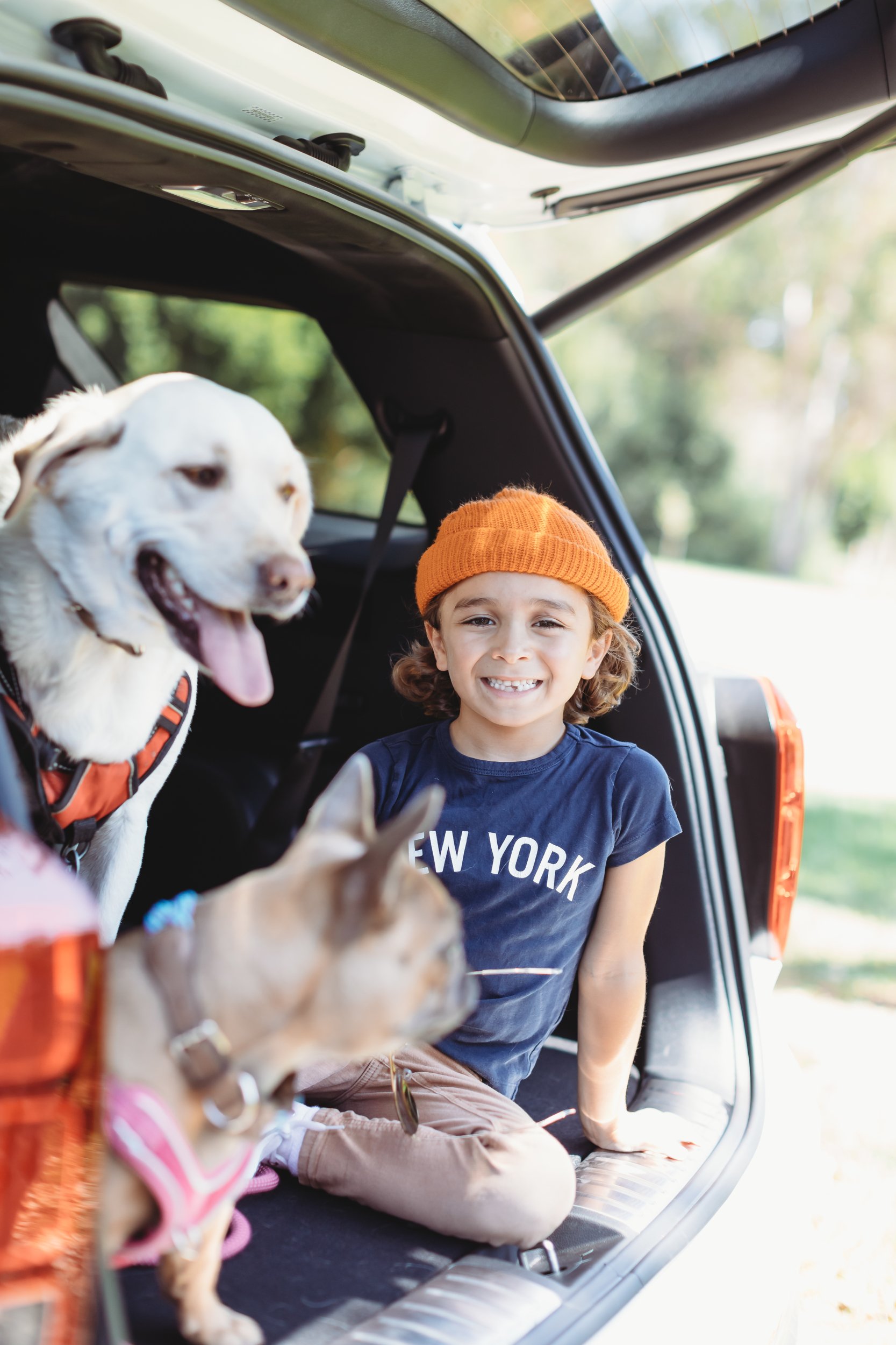 boy sitting in back of suv with dogs