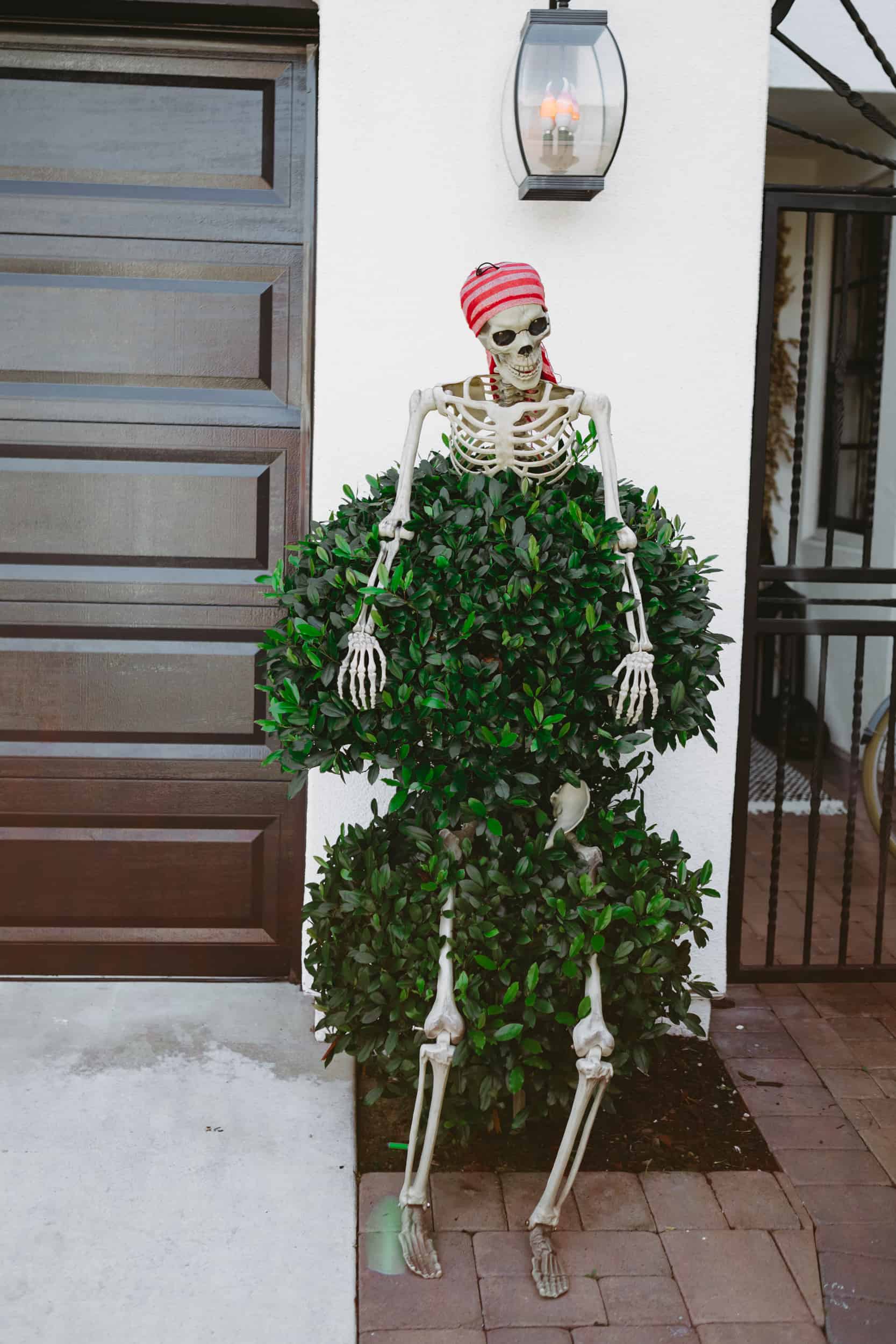 pirate skeleton in bushes