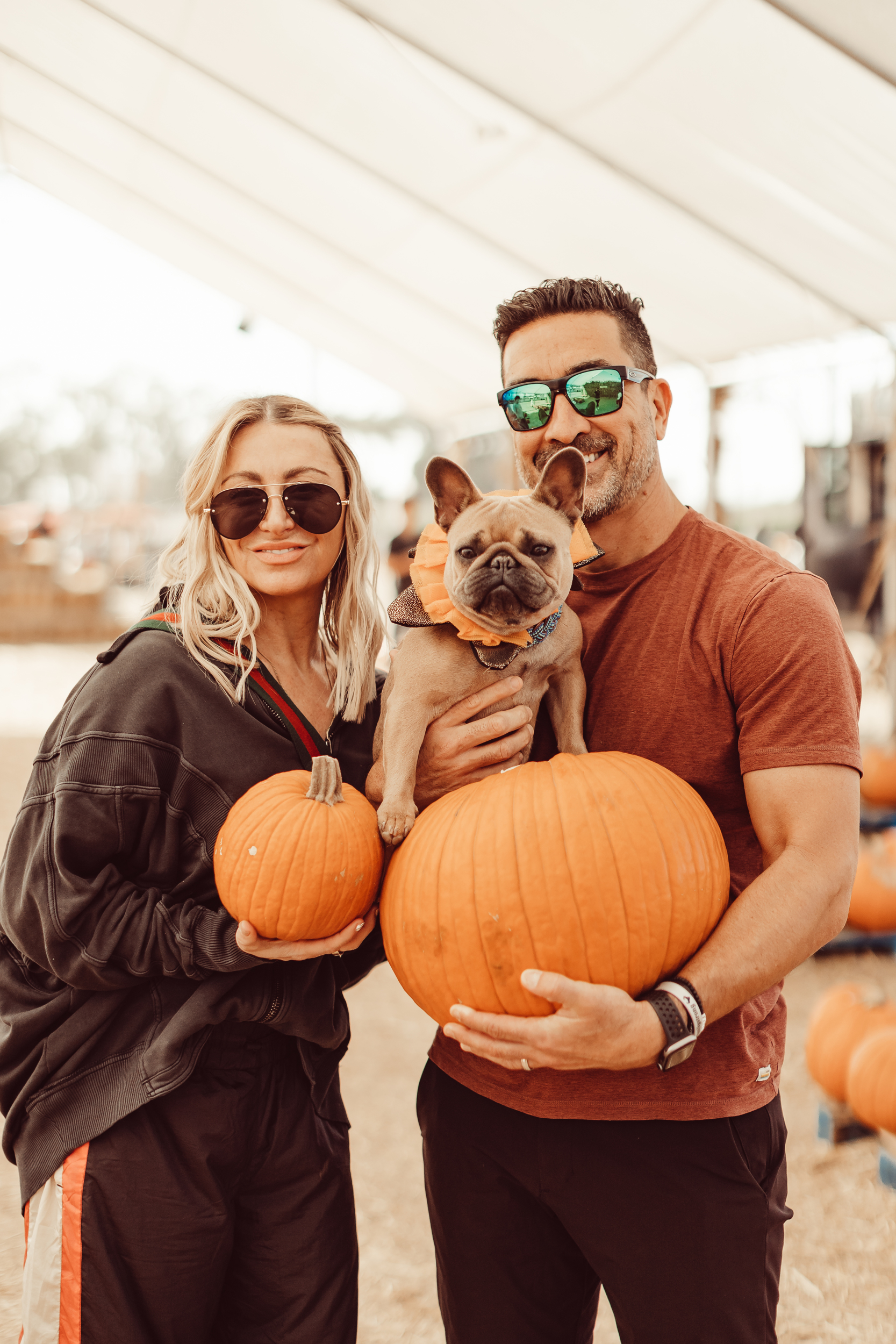 couple holding their dog and pumpkins