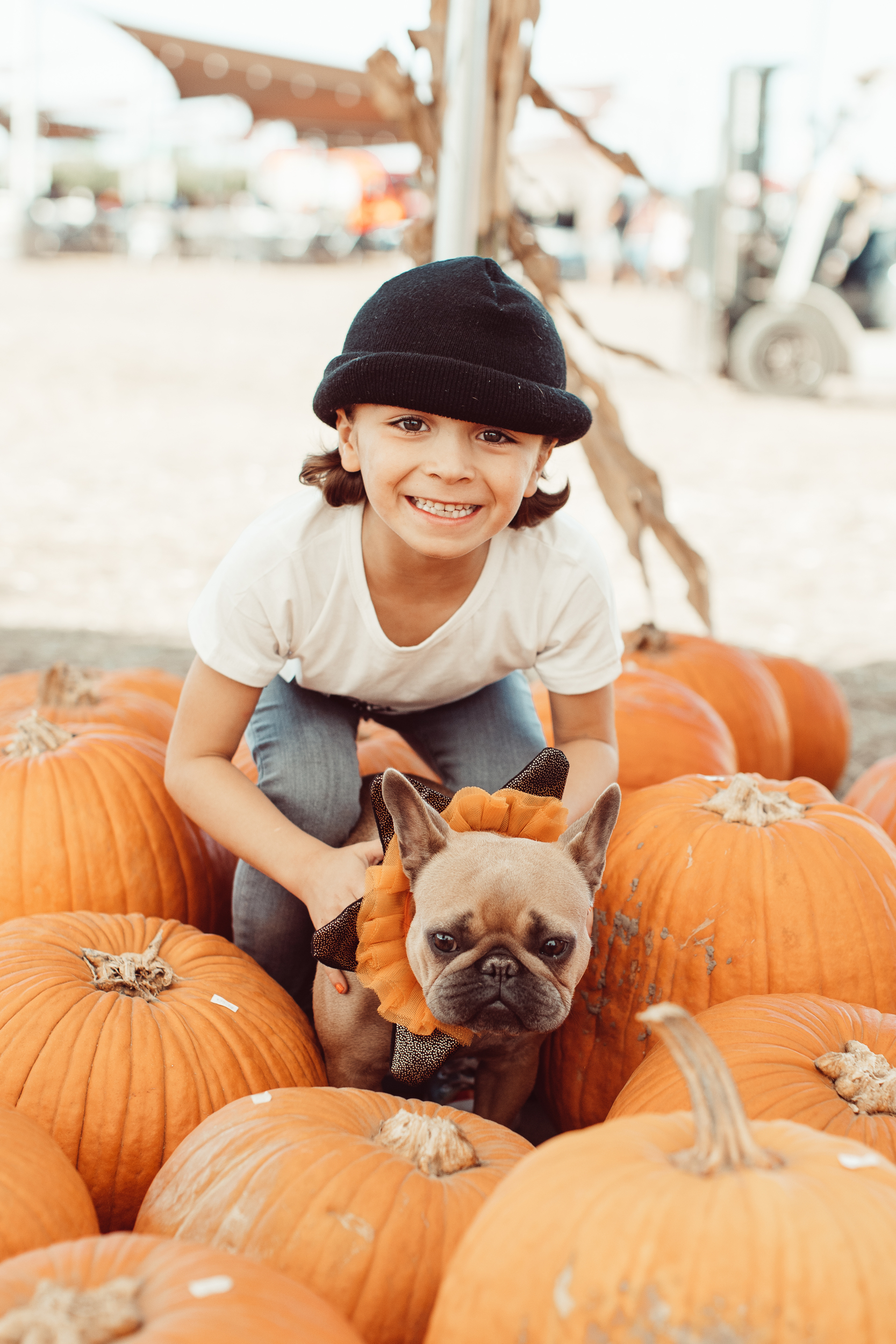 boy with his dog in a pumpkin patch