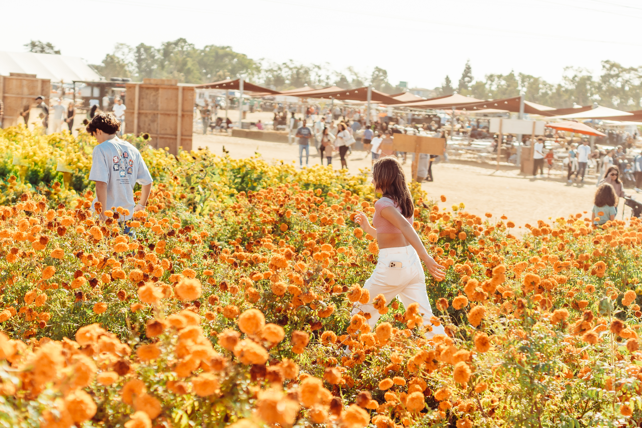 kids running though a field of flowers