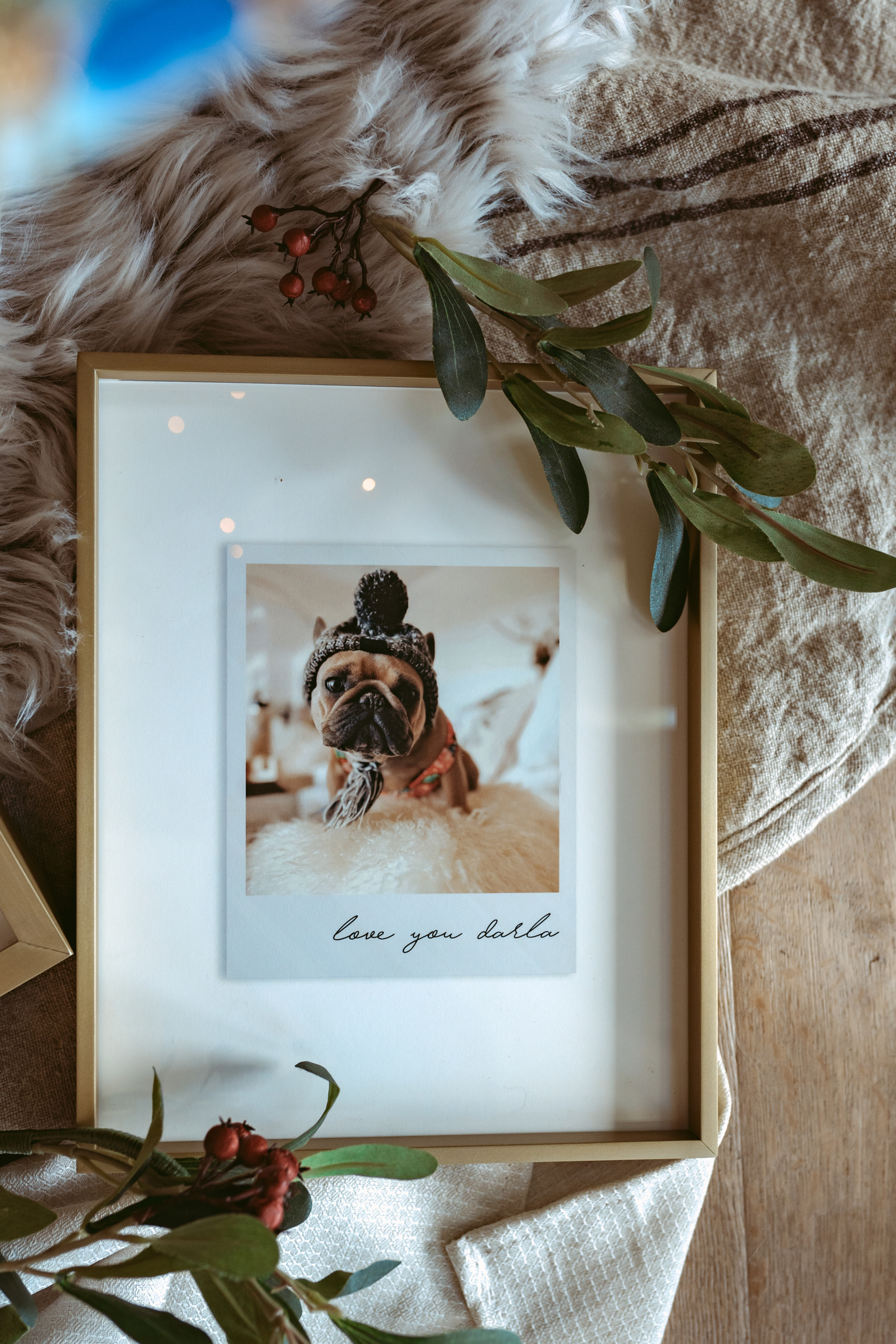framed photo of family dog