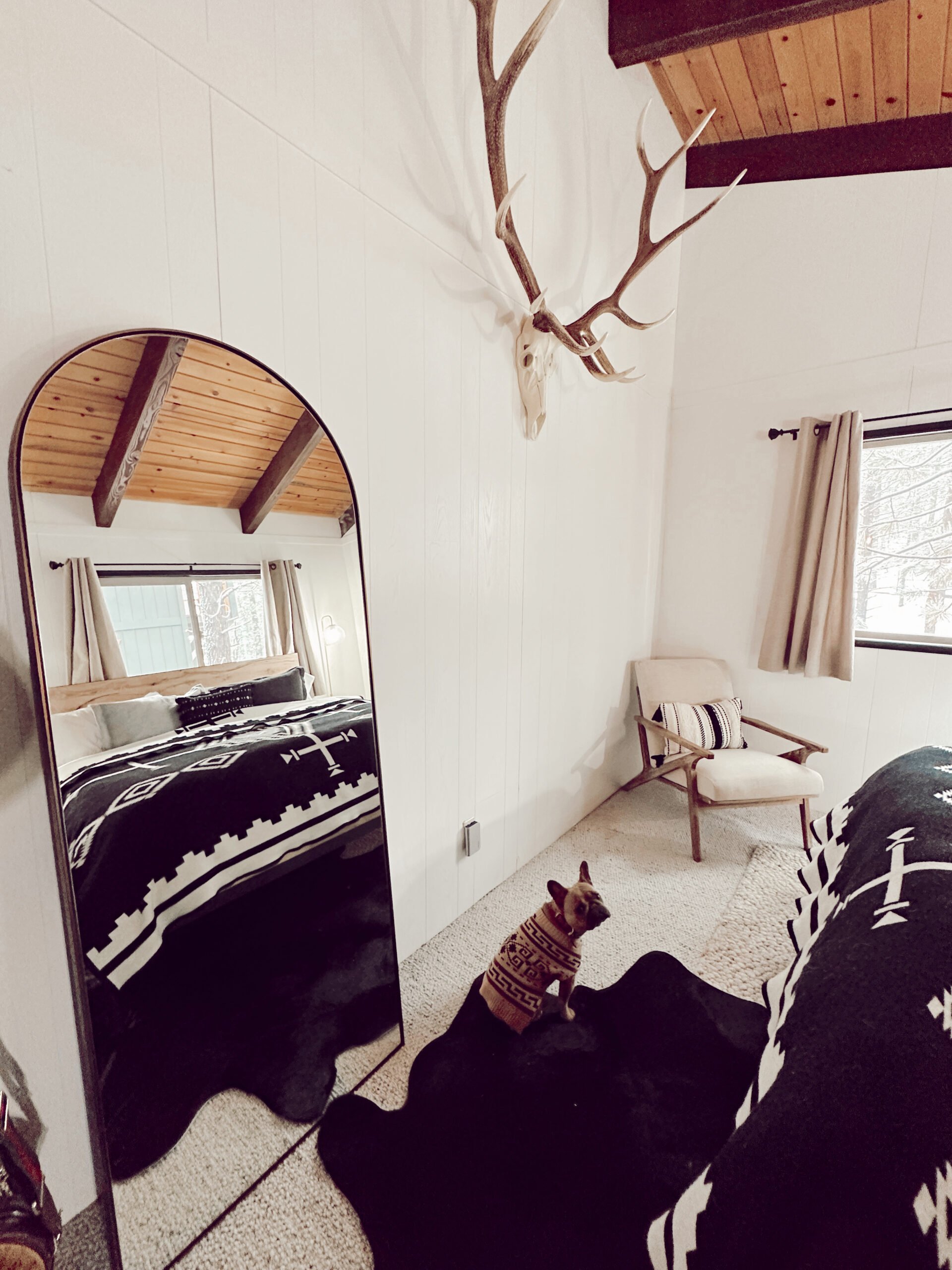 mirror in a bedroom with dog