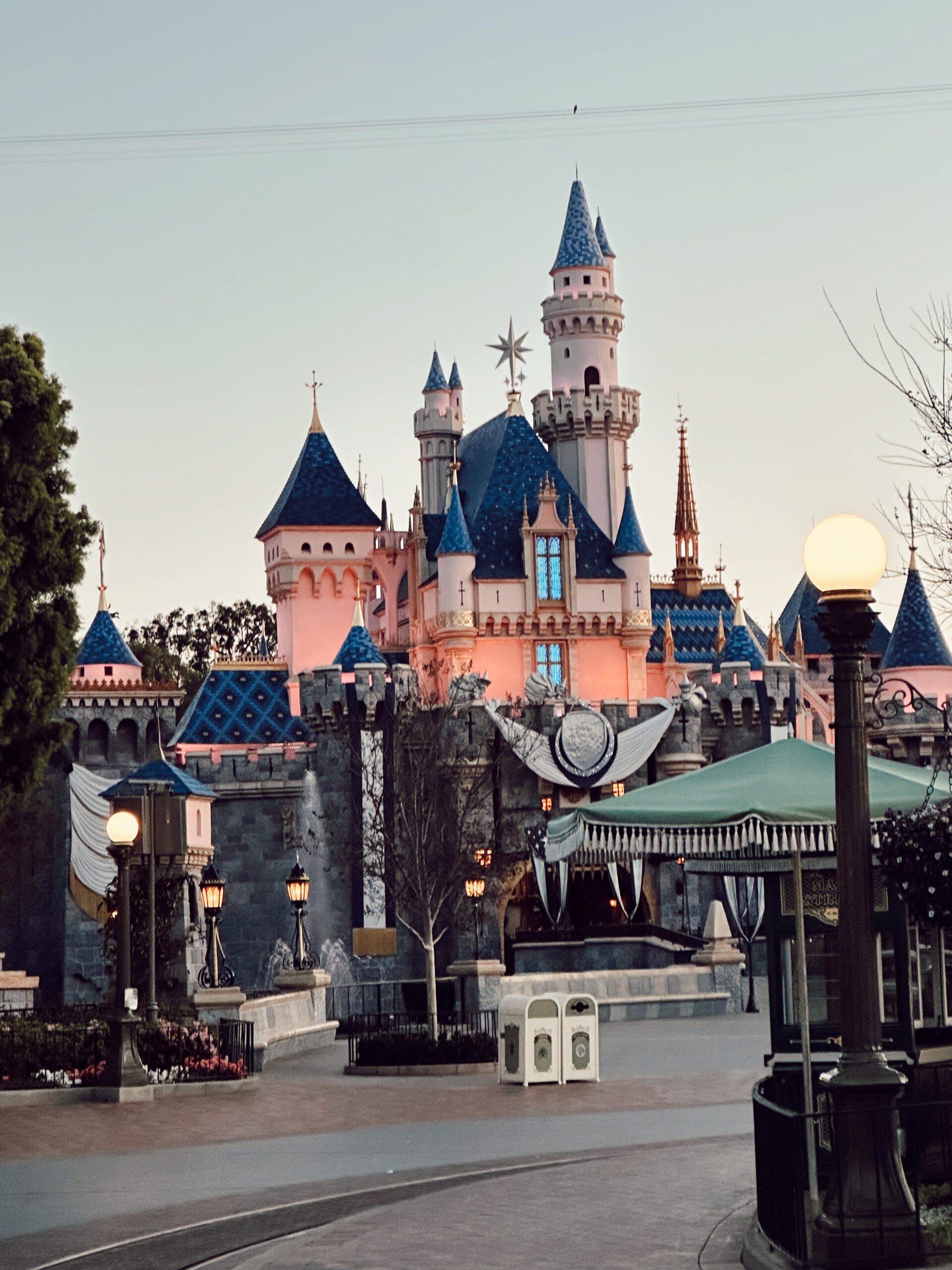 disneyland castle