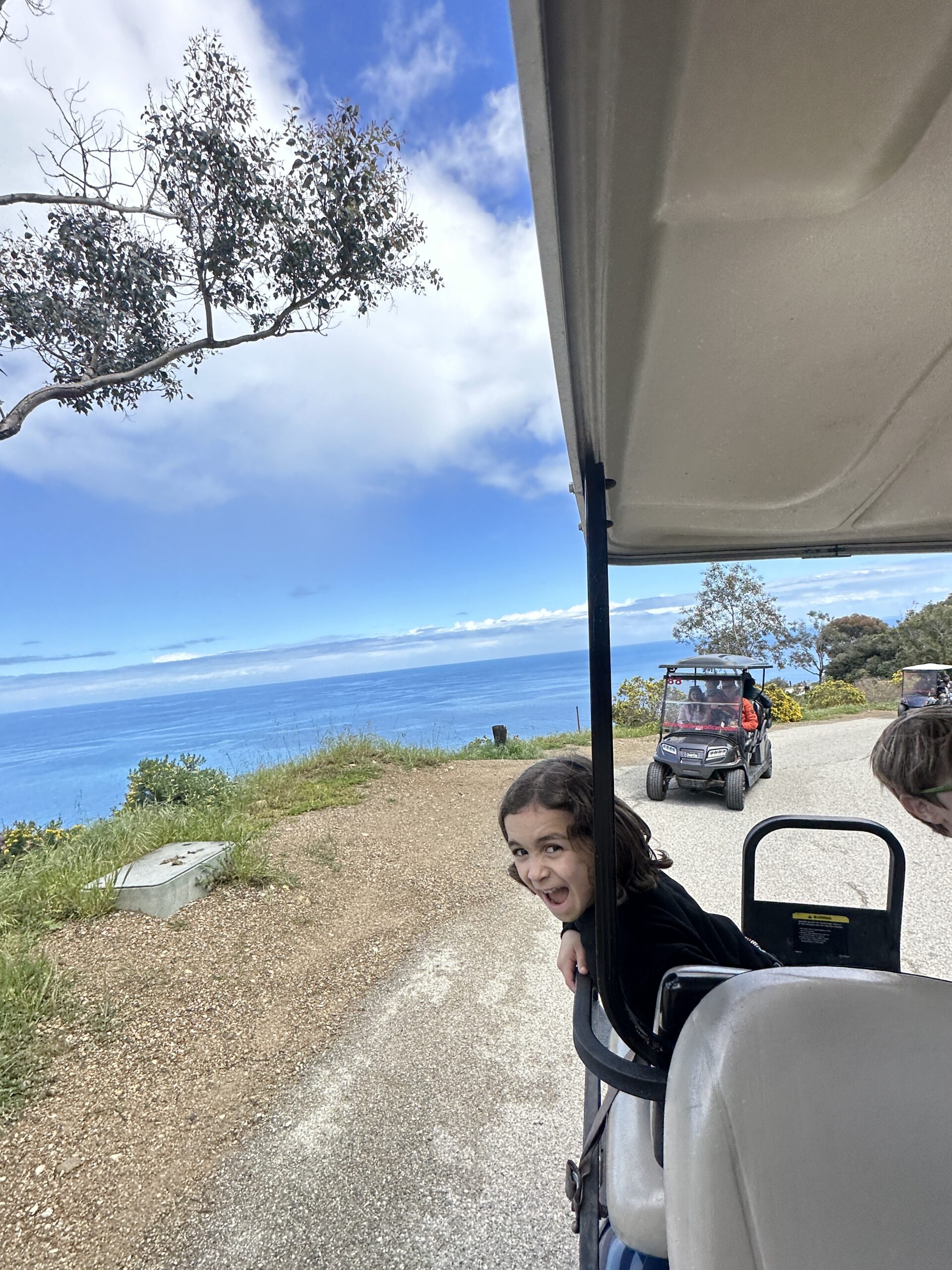 boy on back of golf cart