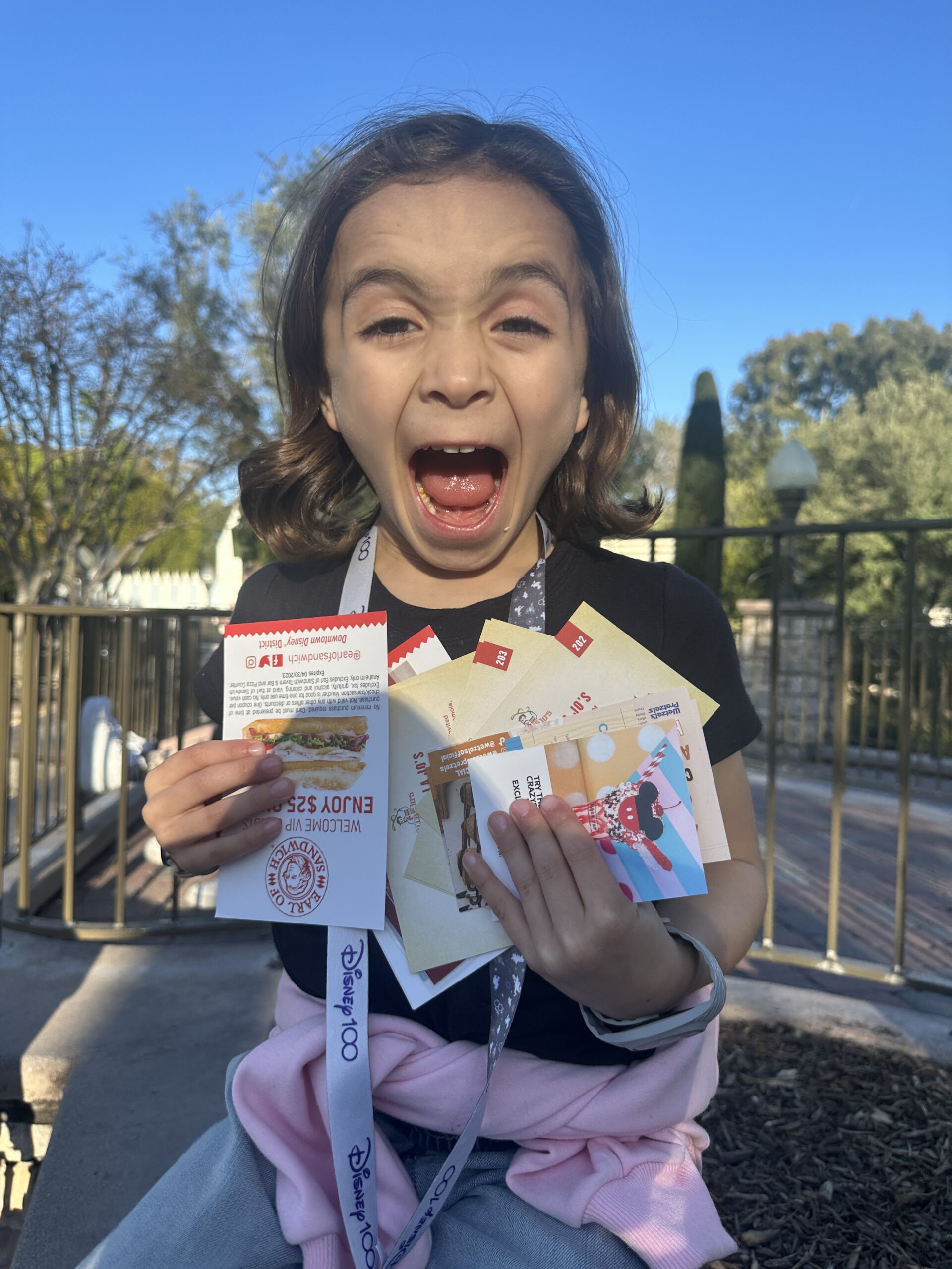 excited boy at disneyland