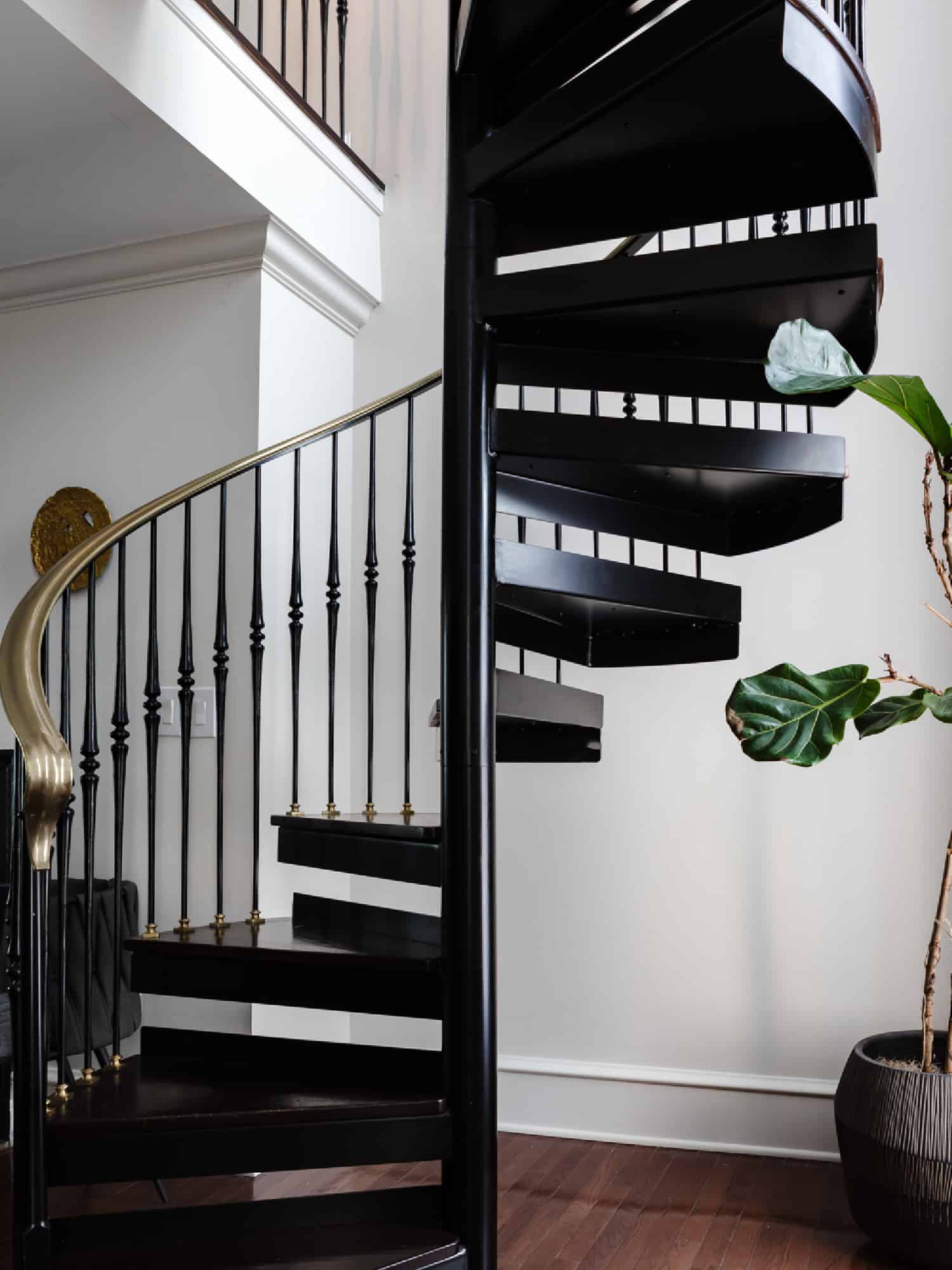 A black winding staircase next to a plant. 